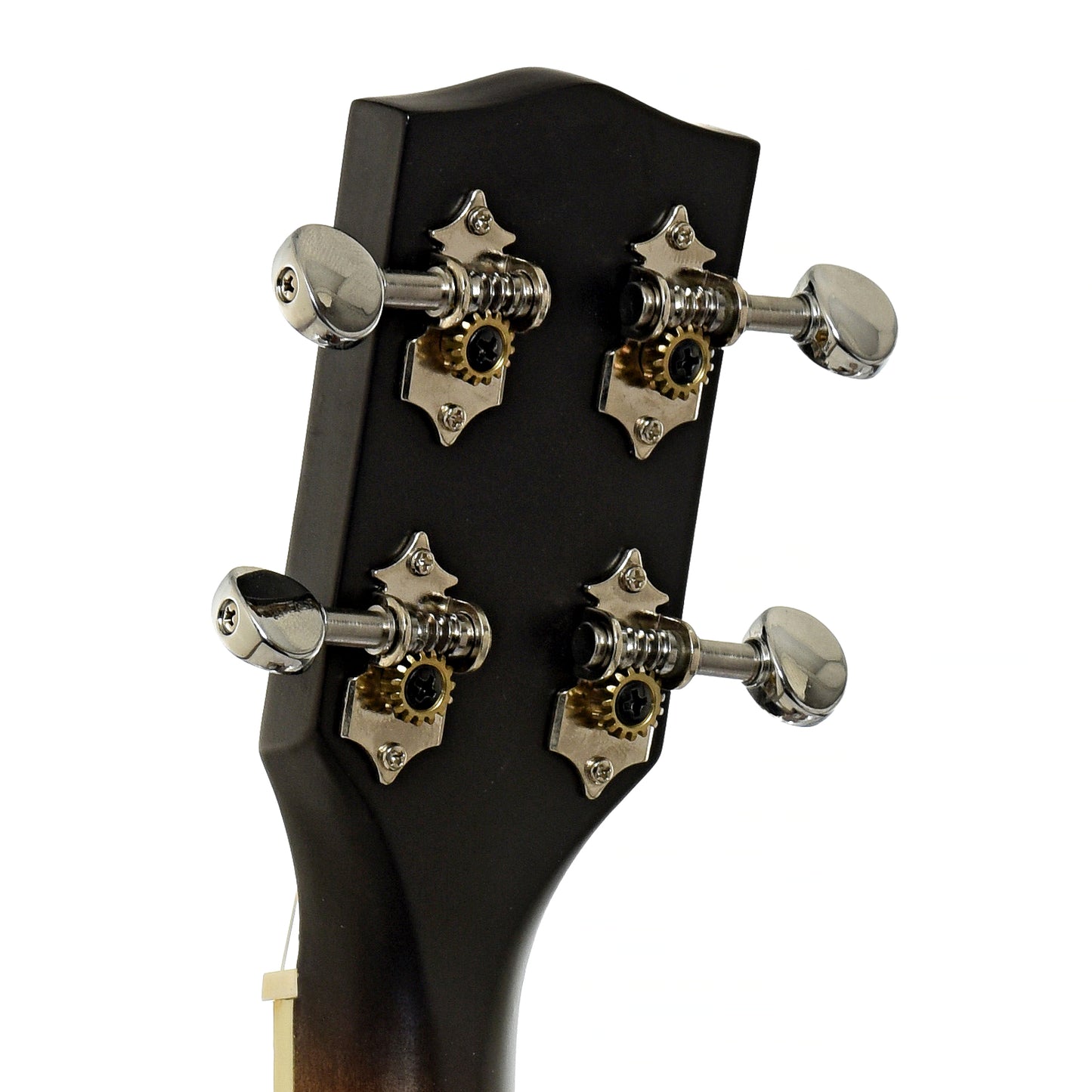 Gold Tone Tenor Banjo-Ukulele (2019)