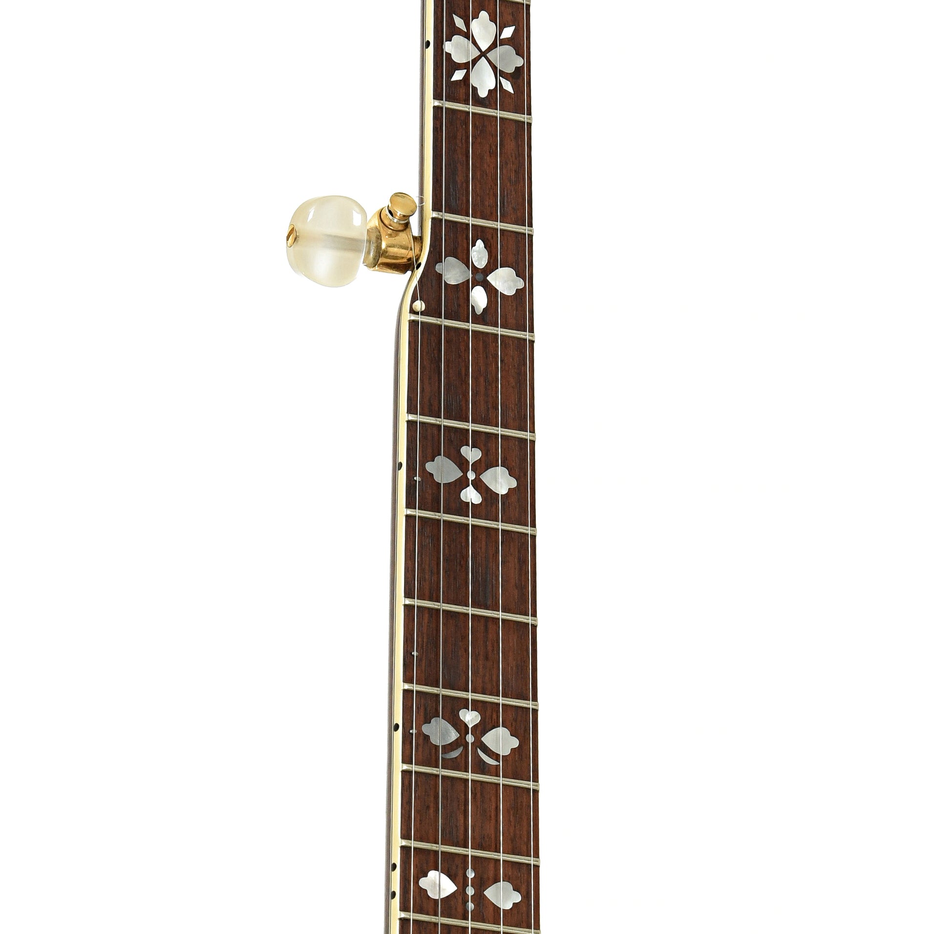 Fretboard of Gibson Granada Resonator Banjo 