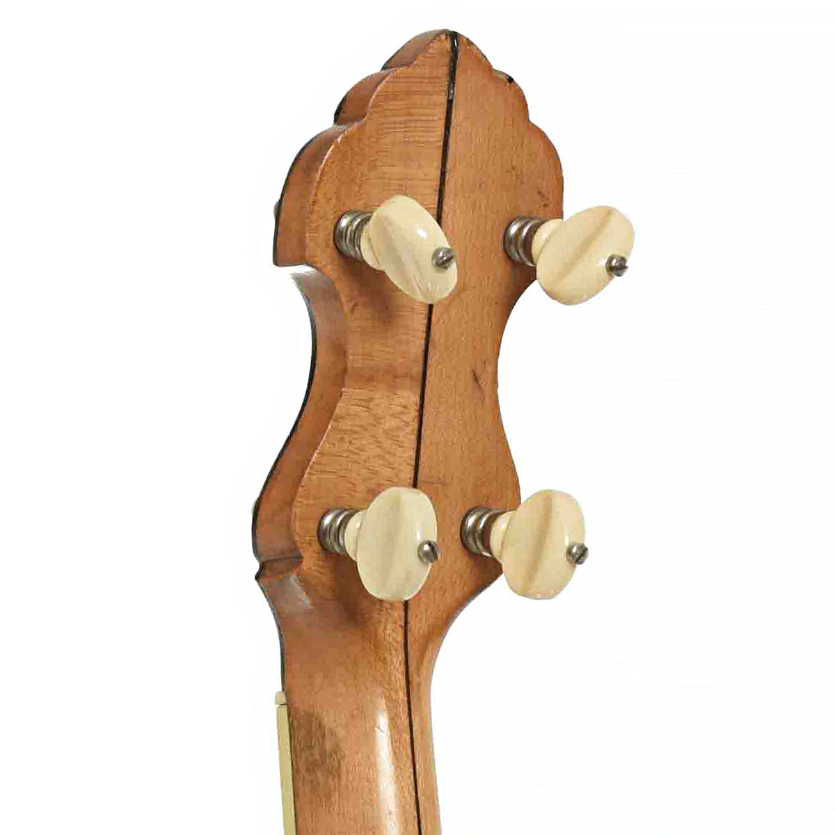 Fairbanks Special Electric Openback Banjo (1902)