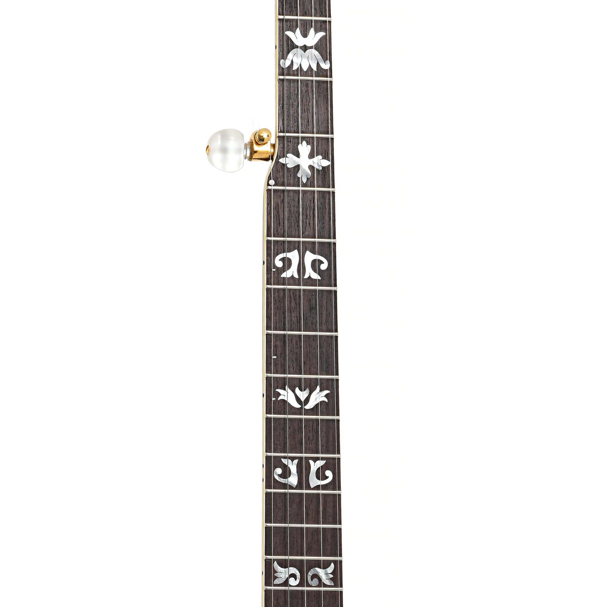 Fretboard of Gibson Granada 5-String Resonator Banjo (2009)