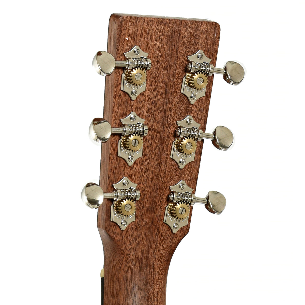 Tuttle Instrument Martin D-X2E Molly Tuttle Guitar and Gigbag – Elderly Instruments
