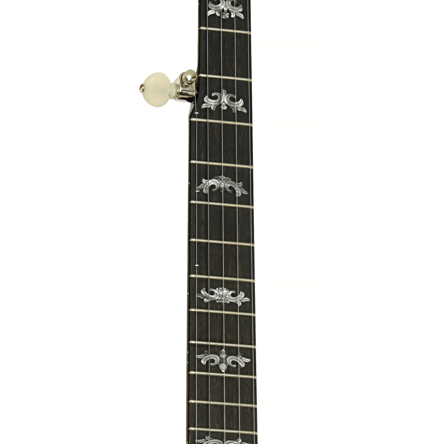 Fretboard of Deering Eagle II Resonator Banjo 