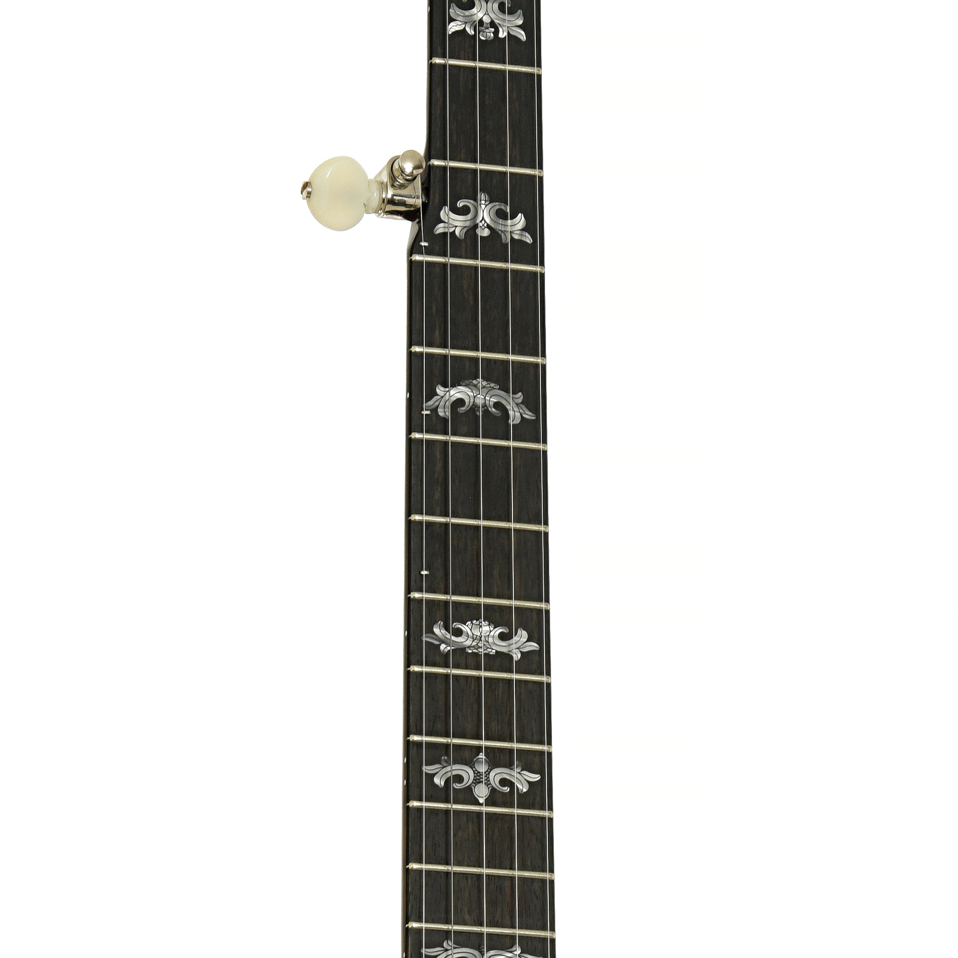 Fretboard of Deering Eagle II Resonator Banjo 