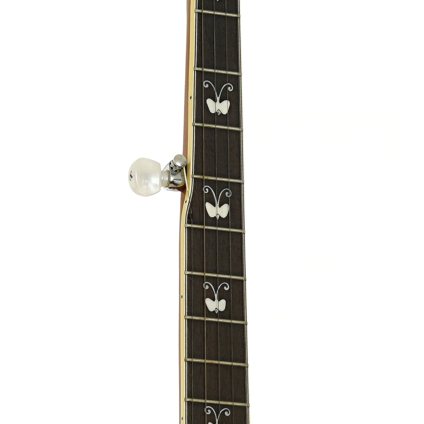 Fretboard of Sovereign Butterfly H495C Resonator Banjo 