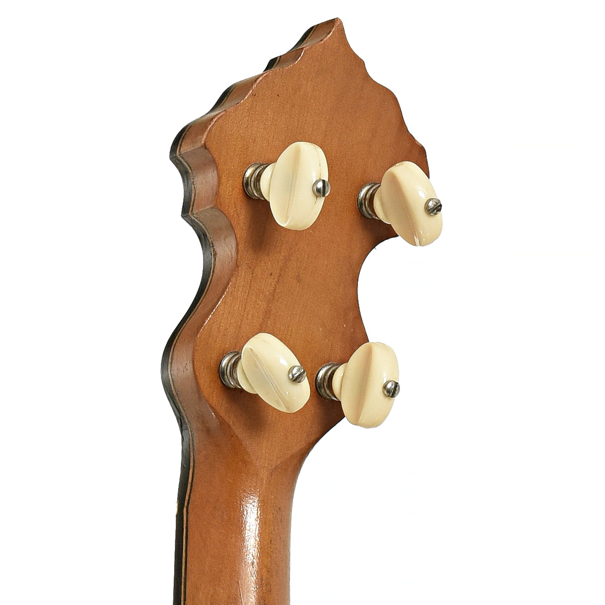Tuners of Washburn Model 1025 Openback Banjo 