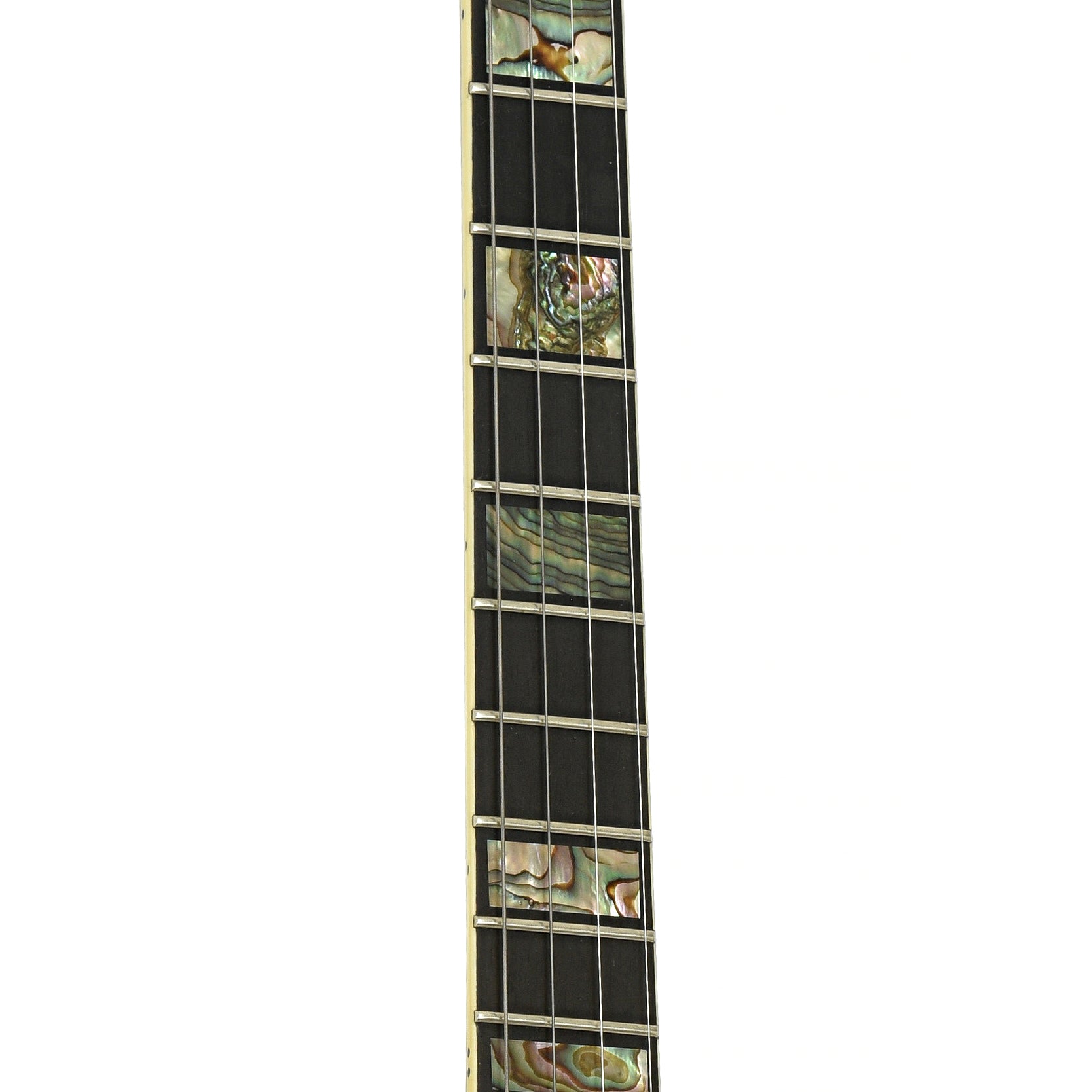 Fretboard of  Ome Grand Artist Classic Jazz Tenor Banjo  