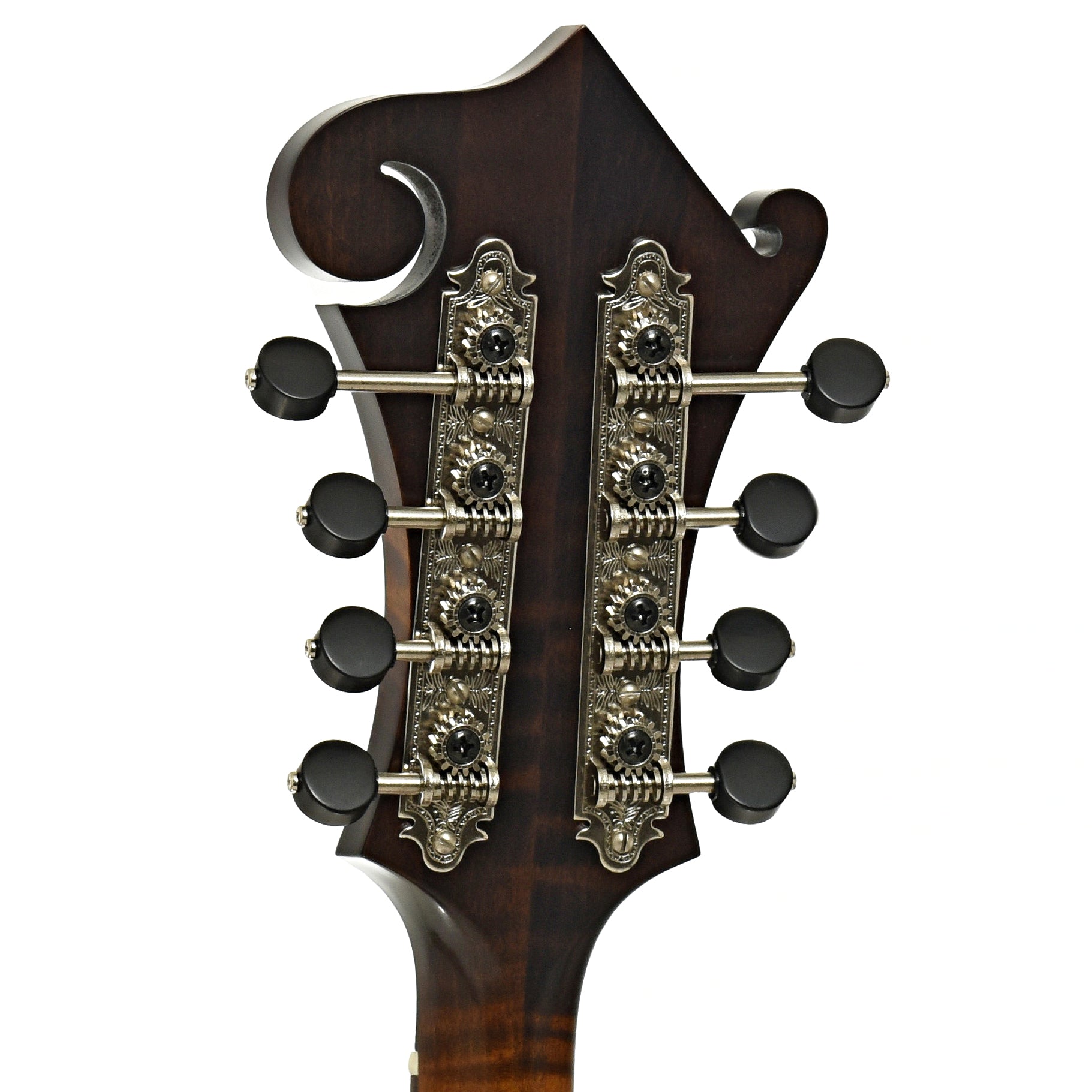 Tuners of Northfield Workshop S-Series NFS-F5E Mandolin 