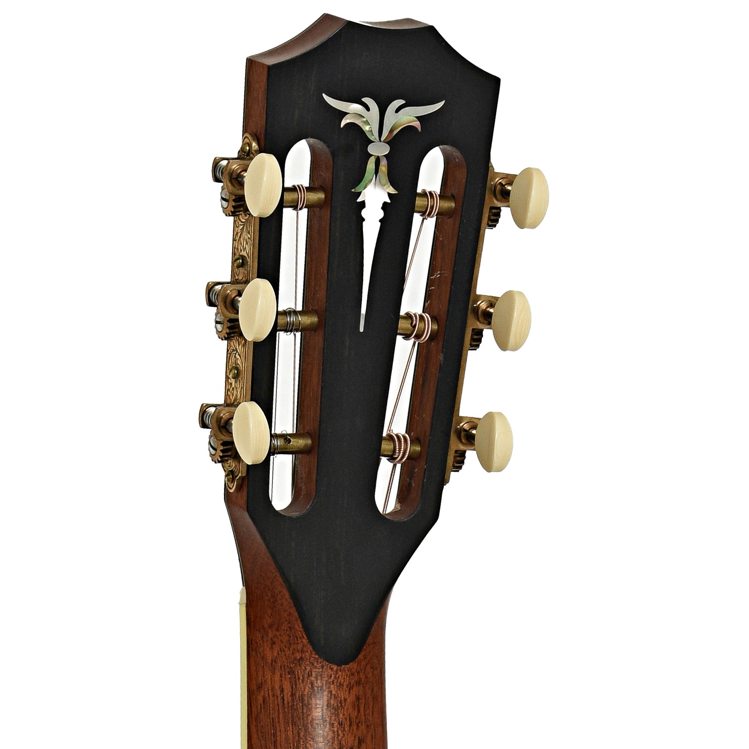 Taylor XXX-KE 30th Anniversary Acoustic Guitar (2004) – Elderly