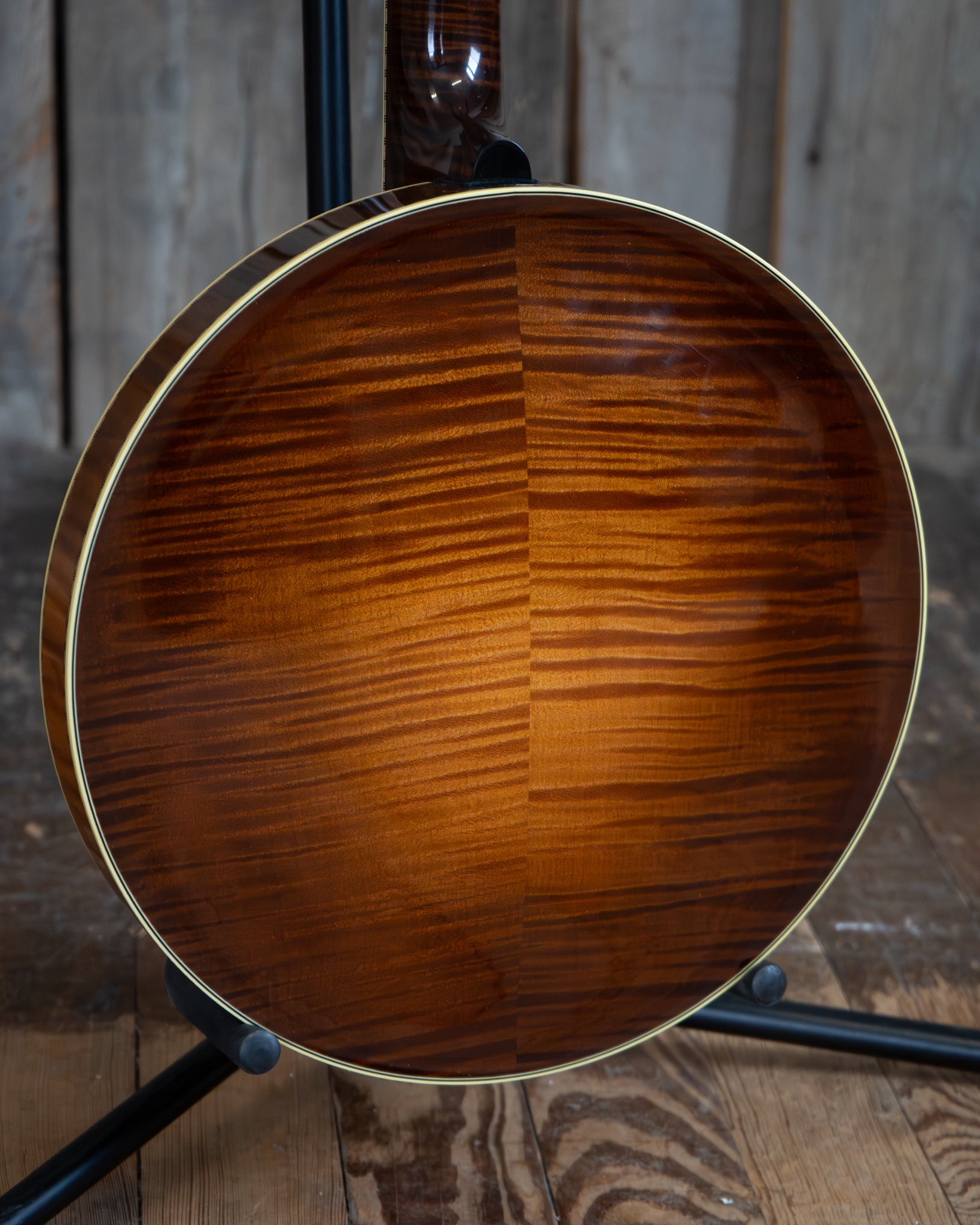 Showroom photo of back of Prucha Bat Custom Resonator Banjo (1999)