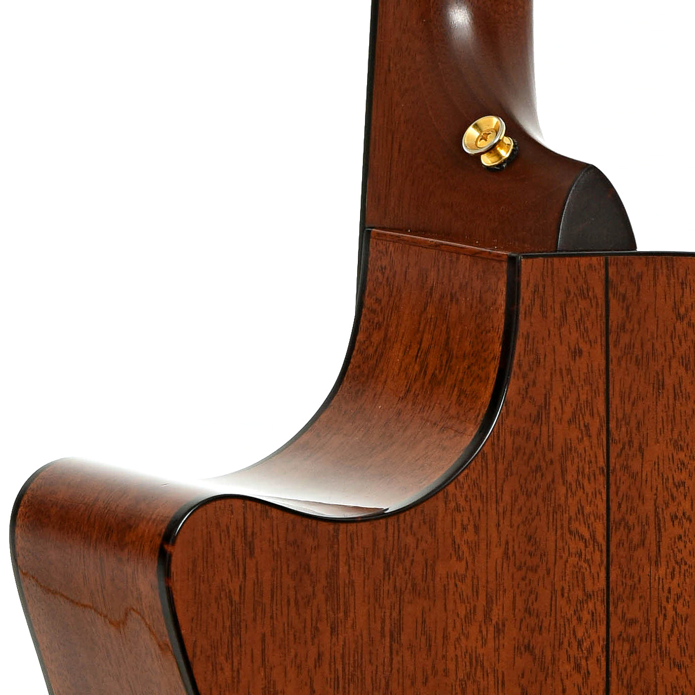 Neck joint of Taylor 514-C Acoustic Guitar