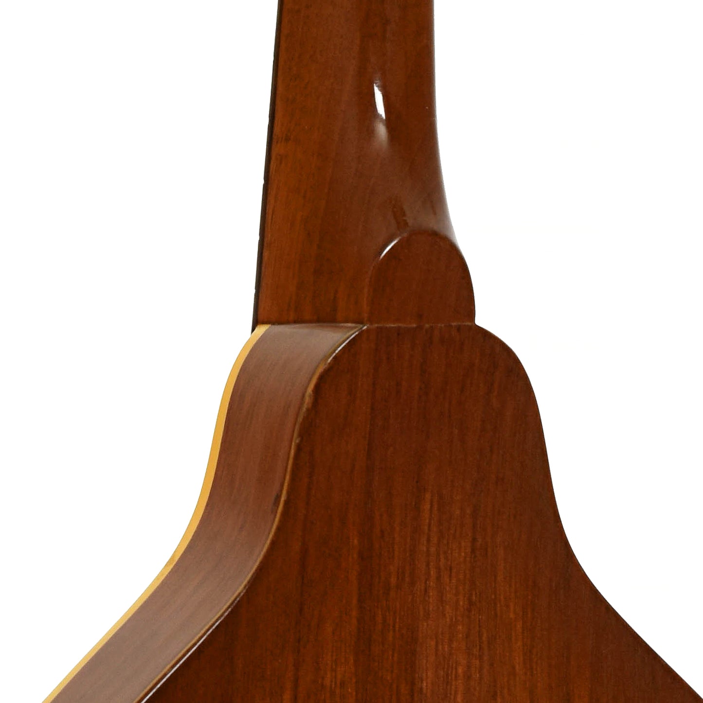 Neck joint of Gibson A-40 Mandolin