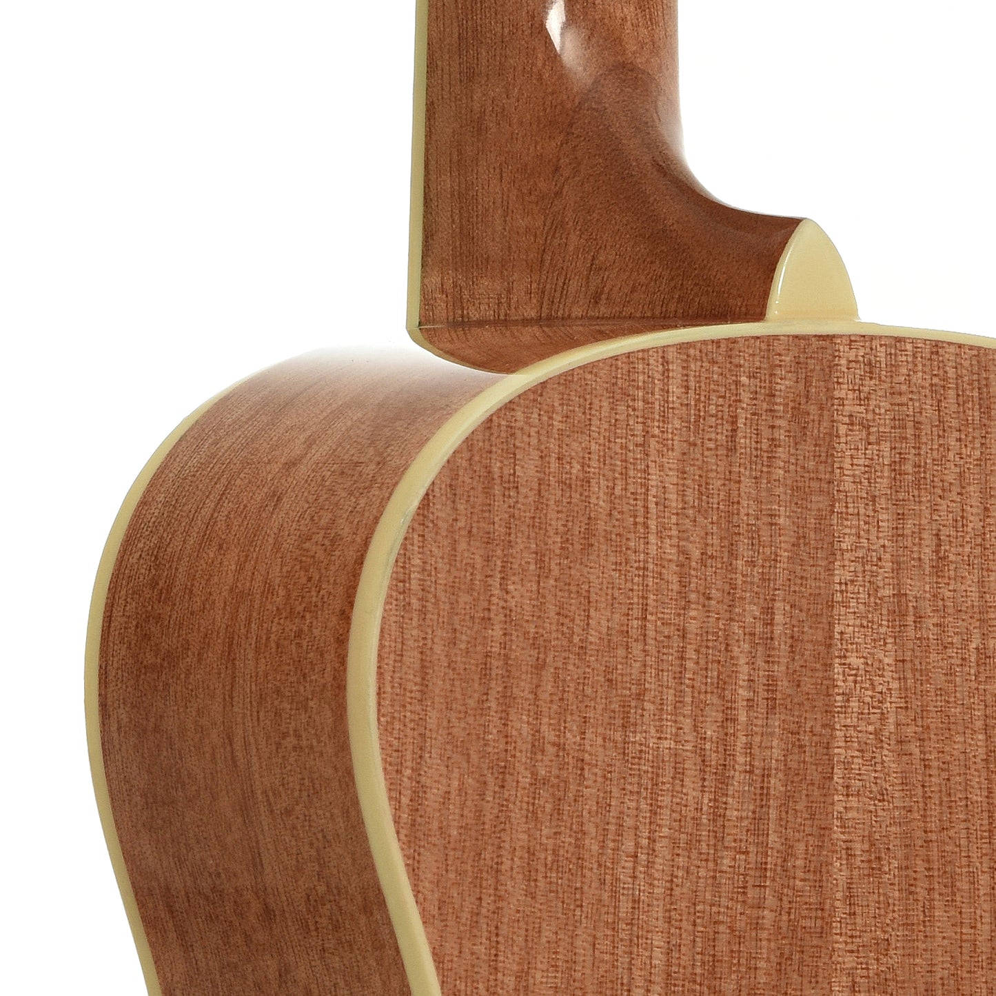 Neck joint of Cordoba 15C Concert Ukulele, Catalonia Green