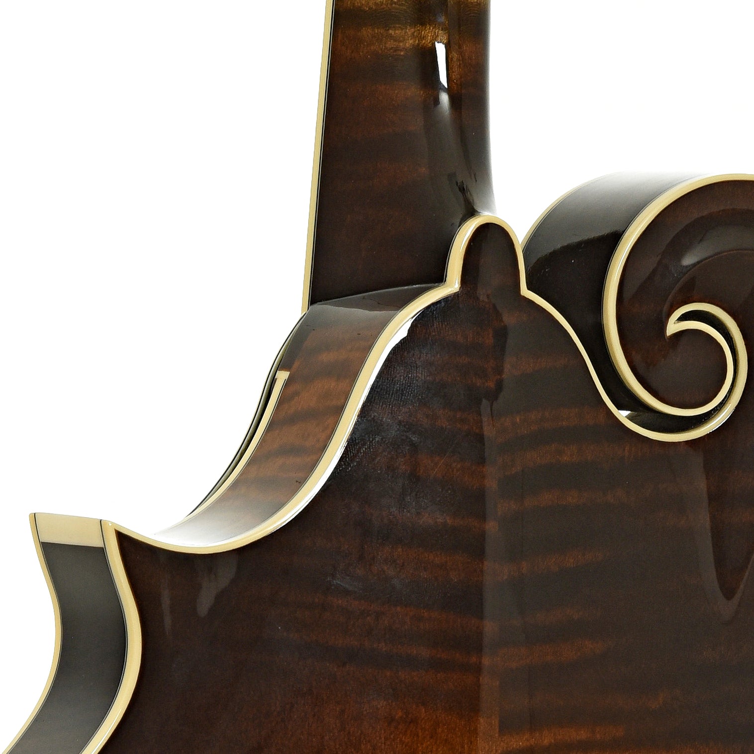 Neck joint of Northfield Workshop NFB-F5A Master Model Big Mon Mandolin