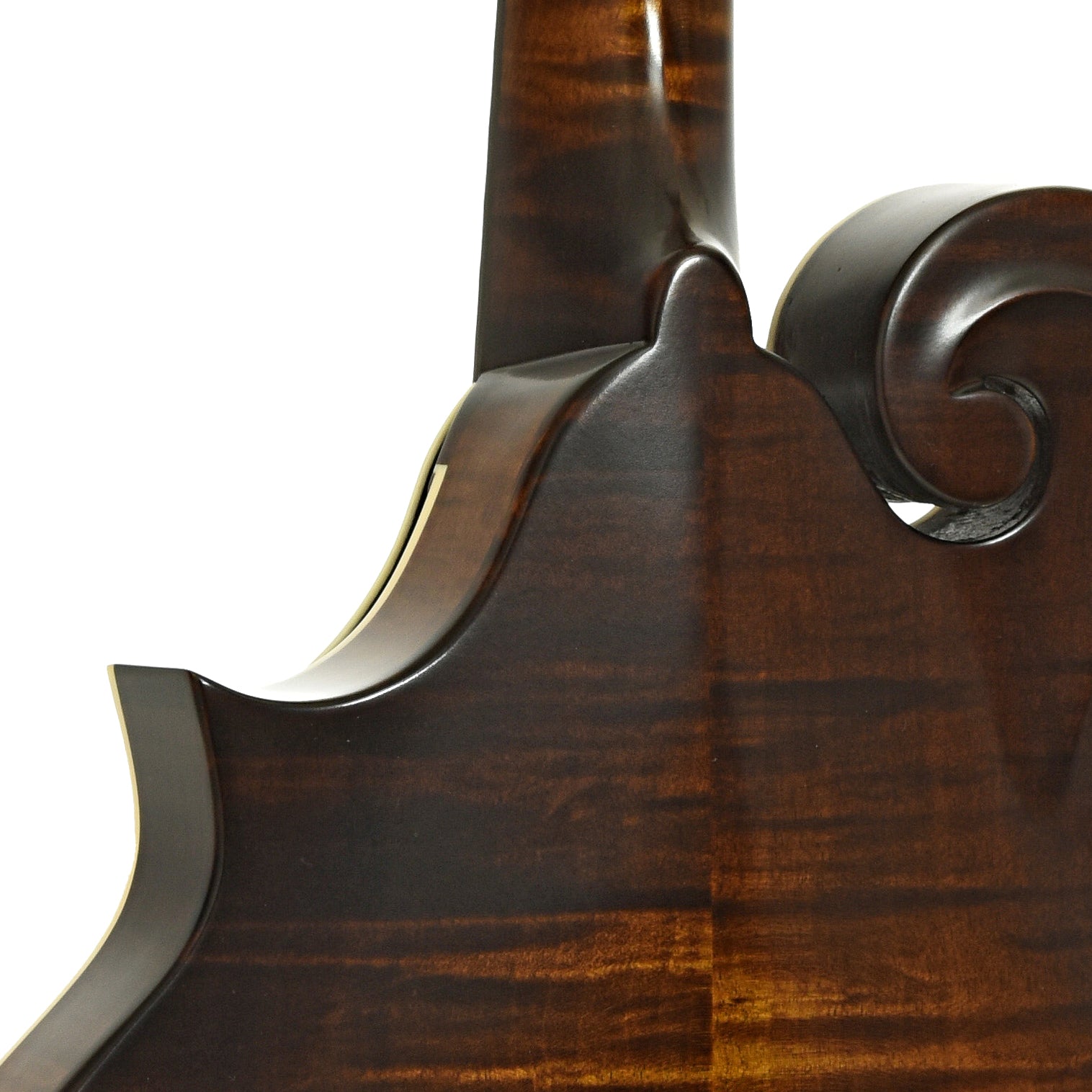 Neck joint of Northfield Workshop S-Series NFS-F5E Mandolin 
