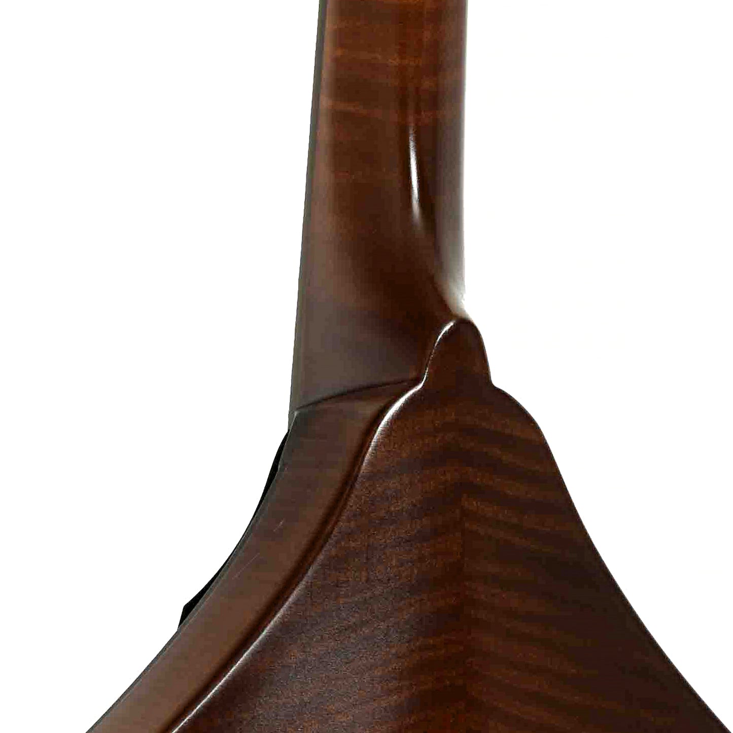 Neck joint of Northfield Workshop NFM-A5 Mandolin