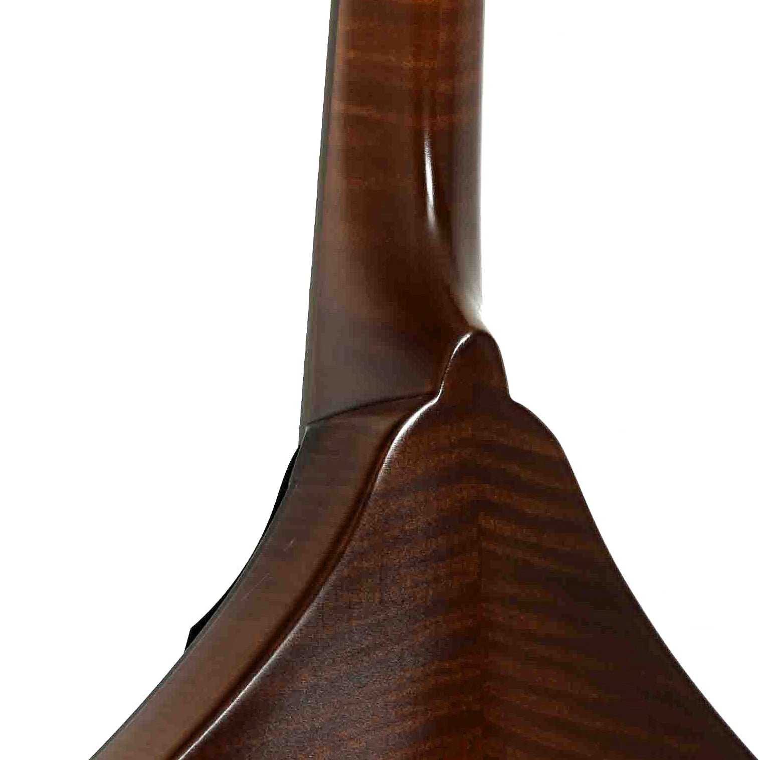 Neck joint of Northfield Workshop NFM-A5 Mandolin