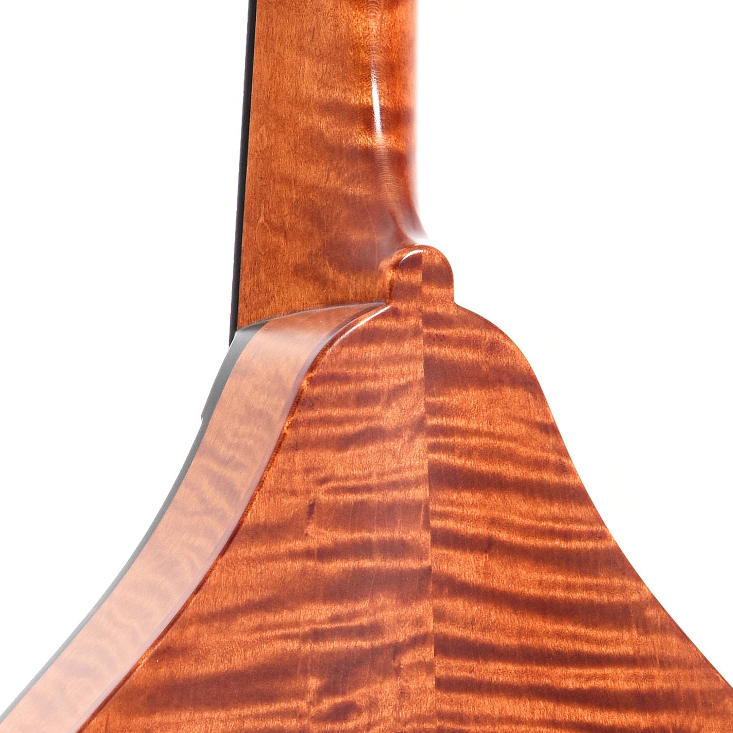 Heel of Collings MT A-Model Mandolin with Glossy Top, Honey Amber Finish, Tortoise Binding