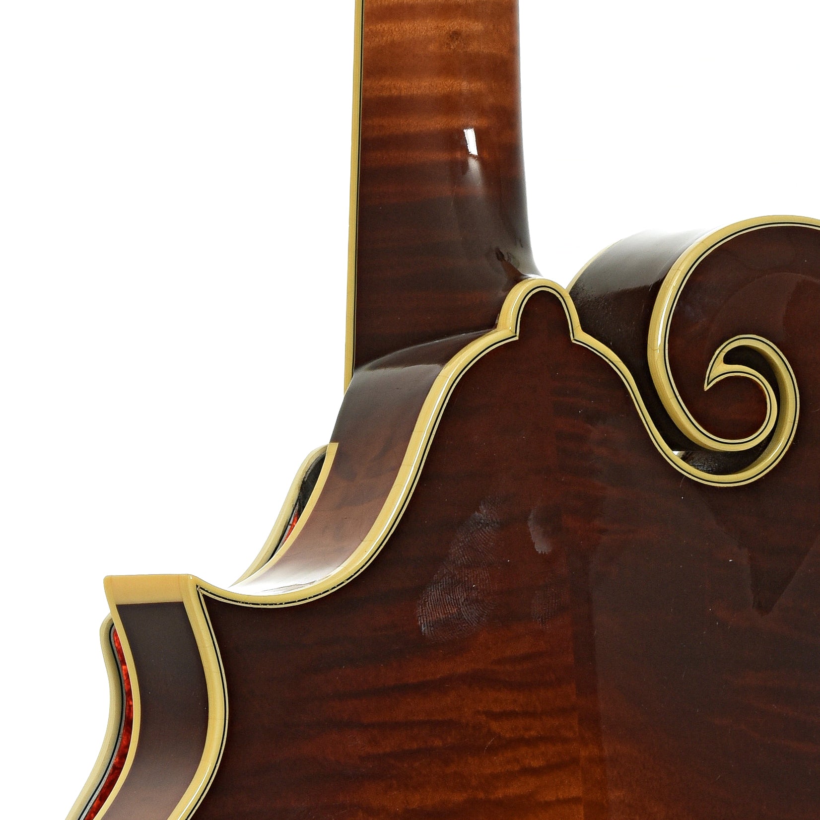 Neck joint of Gibson Custom 1923 F-5 Master Model Reissue Mandolin
