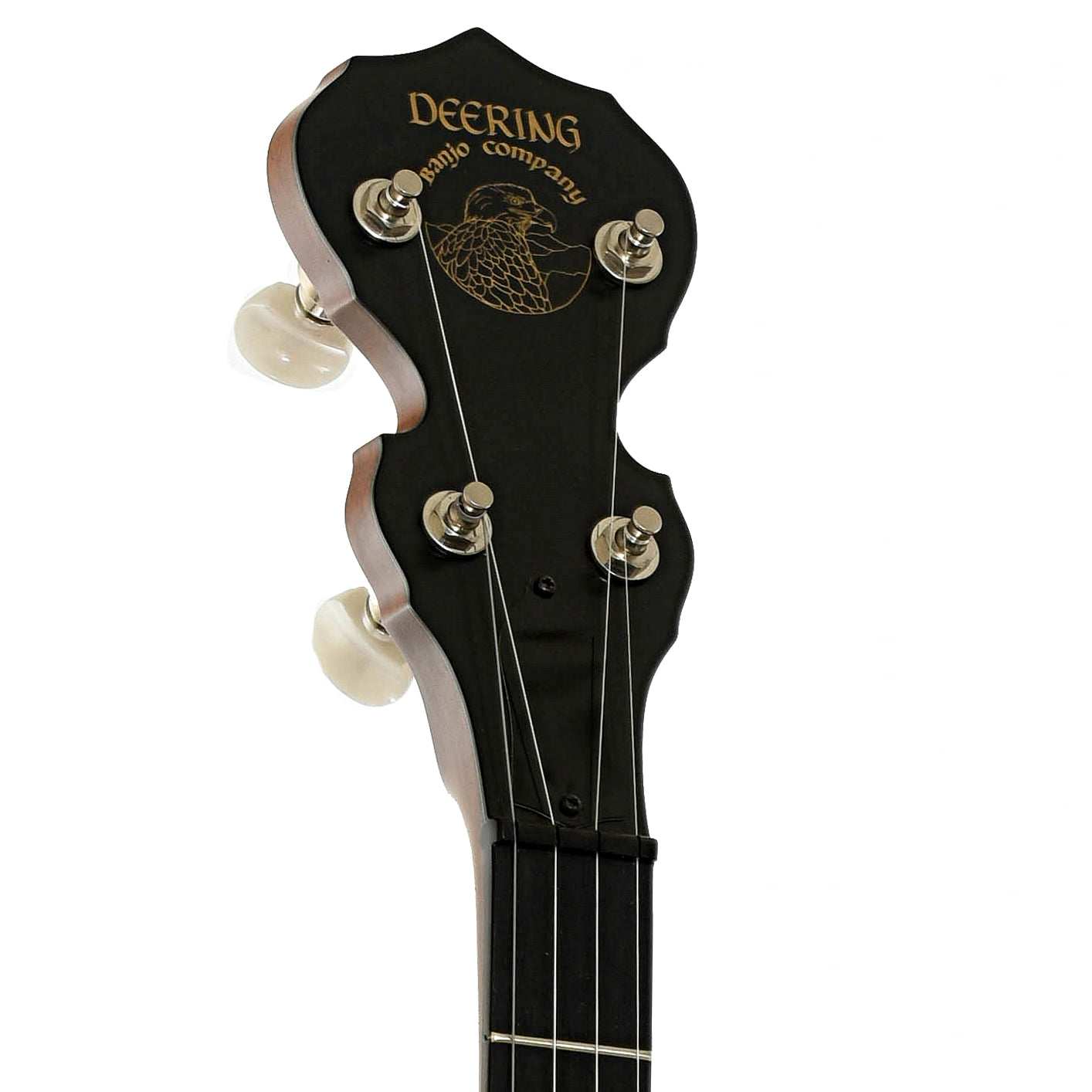 Headstock of Deering Sierra Mahogany Resonator Banjo