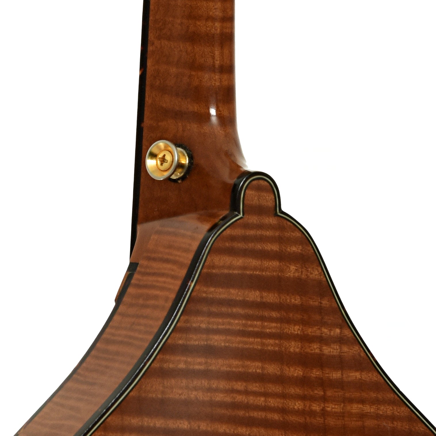 Neck rest of Weber Beartooth A Style Mandolin 
