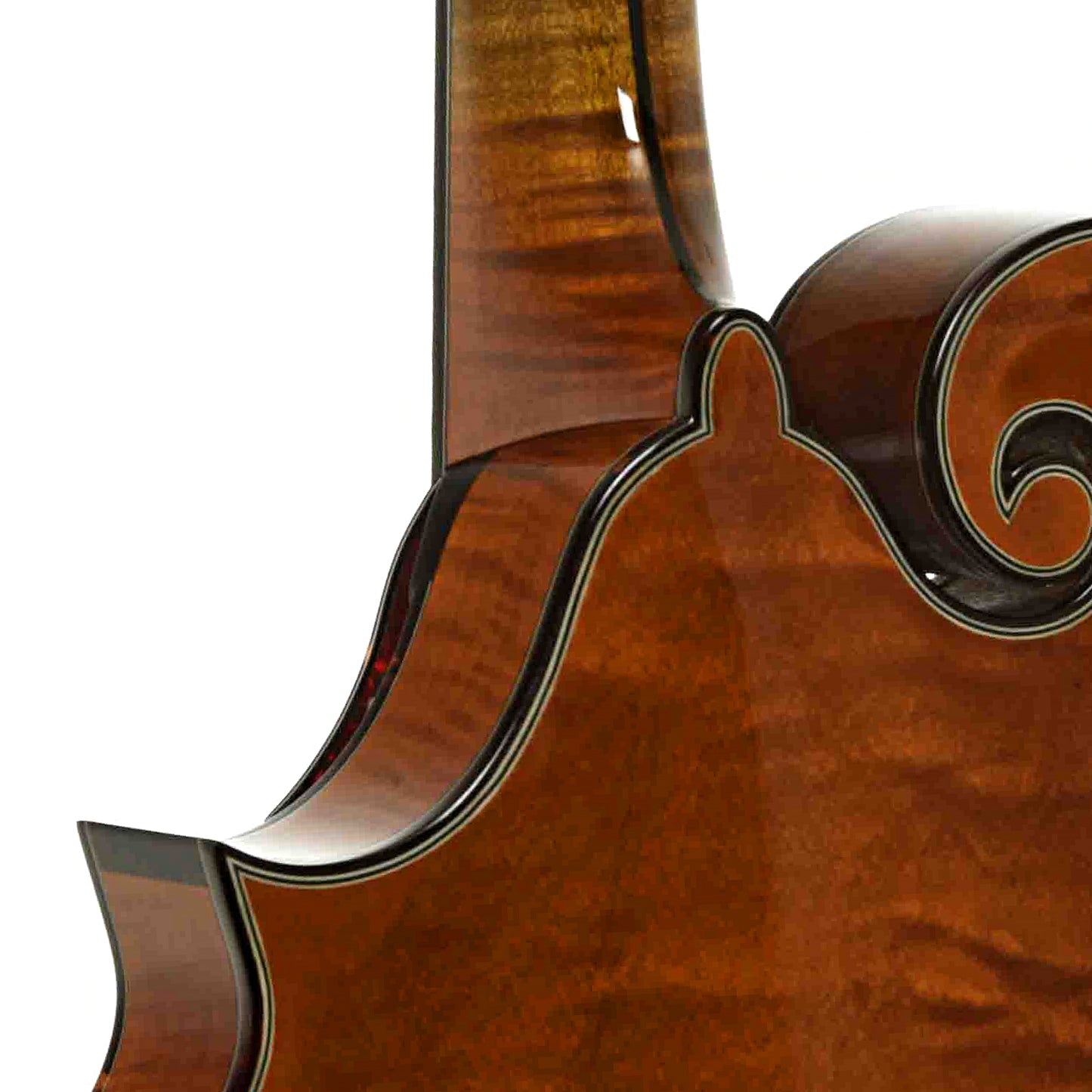 Neck joint of Northfield Workshop Artist Series F5 Mandolin, Variation 1 Italian Spruce, with Case