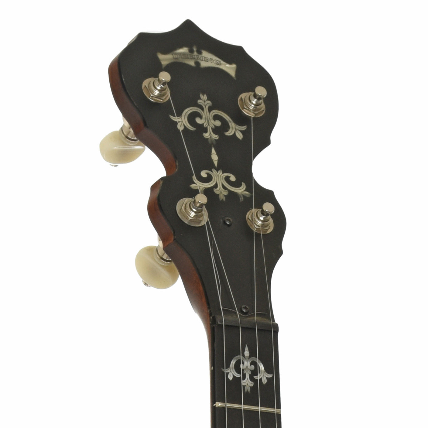 Headstock of Deering Sierra Resonator Banjo 
