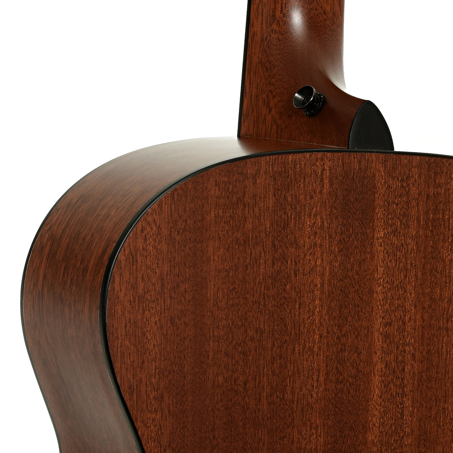 Neck joint of Taylor 355 12-String Acoustic Guitar
