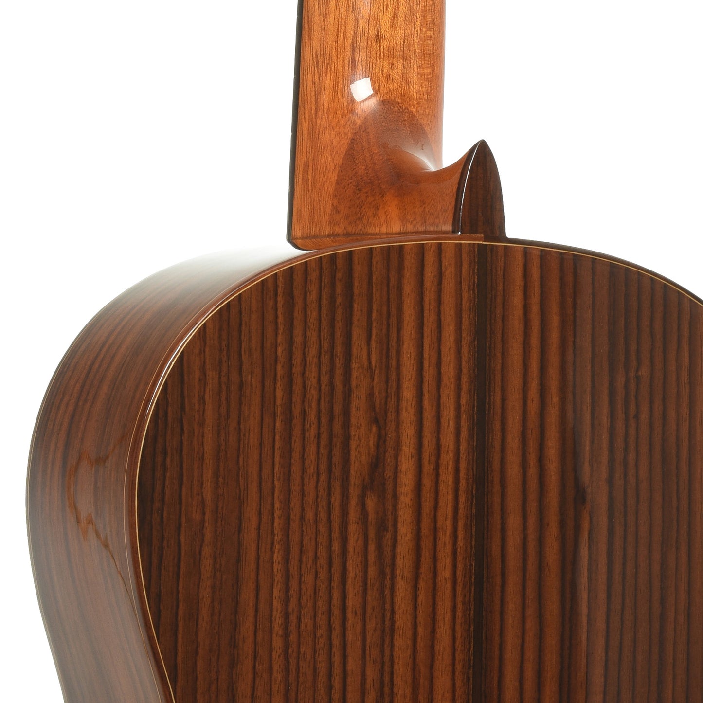 Neck joint of Esteve 7SR Classical Acoustic Guitar