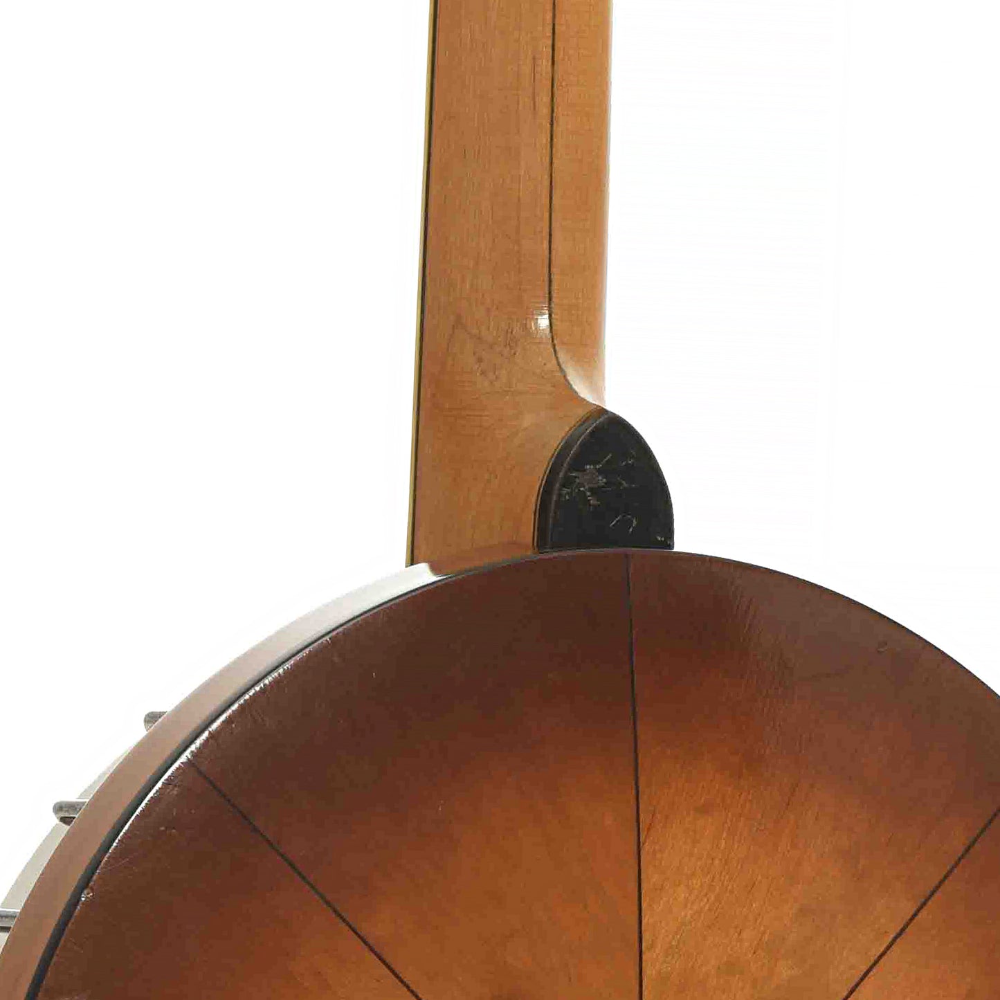 Back & Side of Vega Whyte Laydie No.2 Banjo