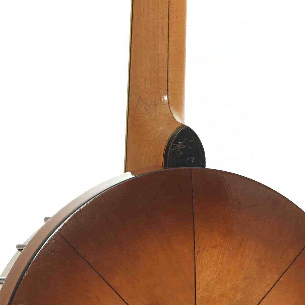 Back & Side of Vega Whyte Laydie No.2 Banjo