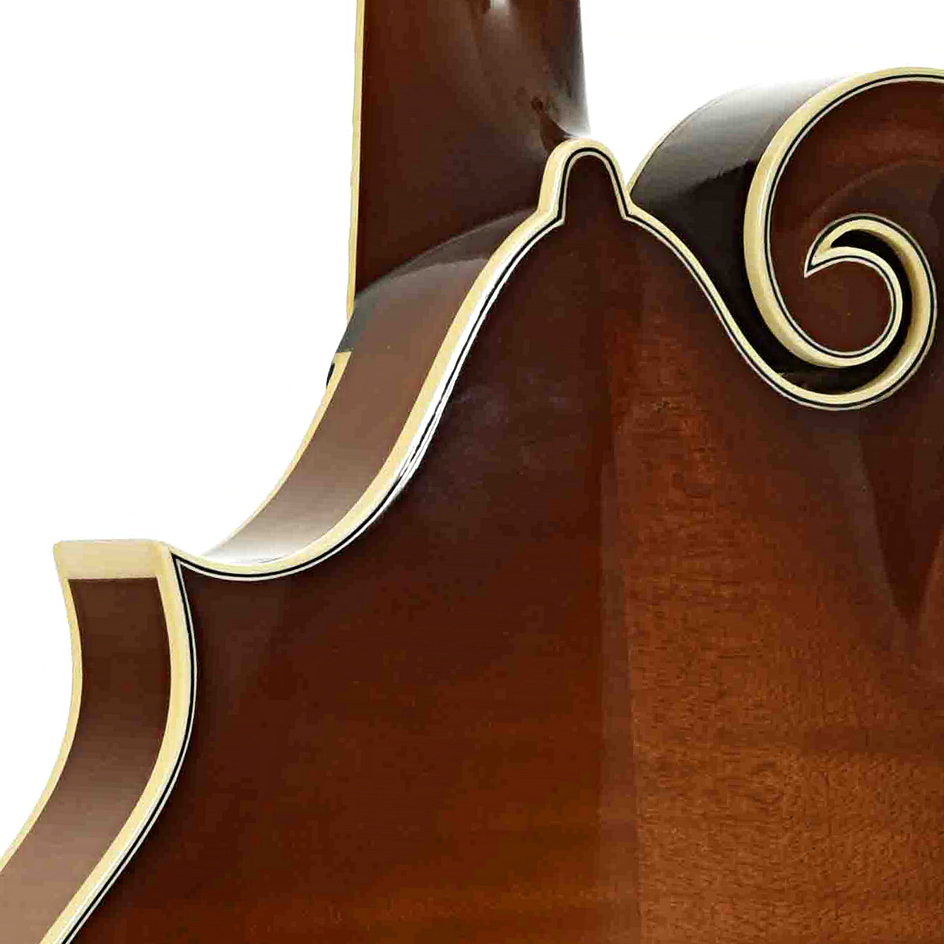 Neck joint of Kentucky KM-858 Gold Artist F-Style Mandolin 