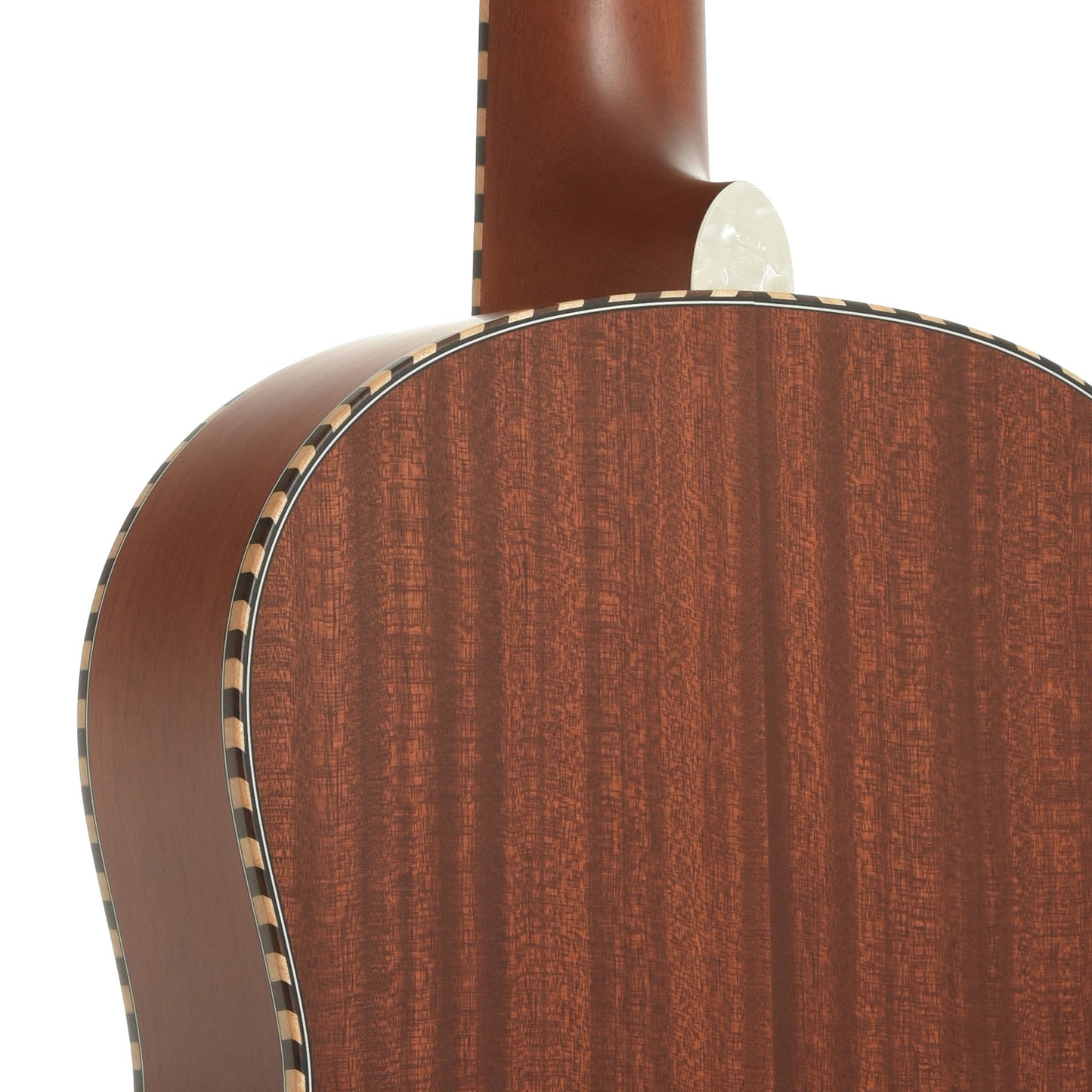 National M2 Roundneck Resonator Acoustic Guitar (2023)