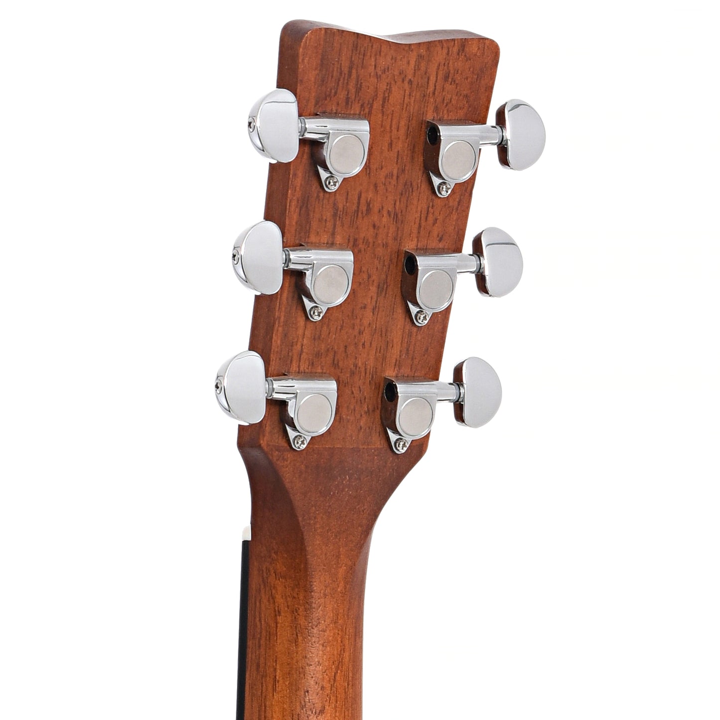 Back headstock of Yamaha FGX800C Acoustic Guitar
