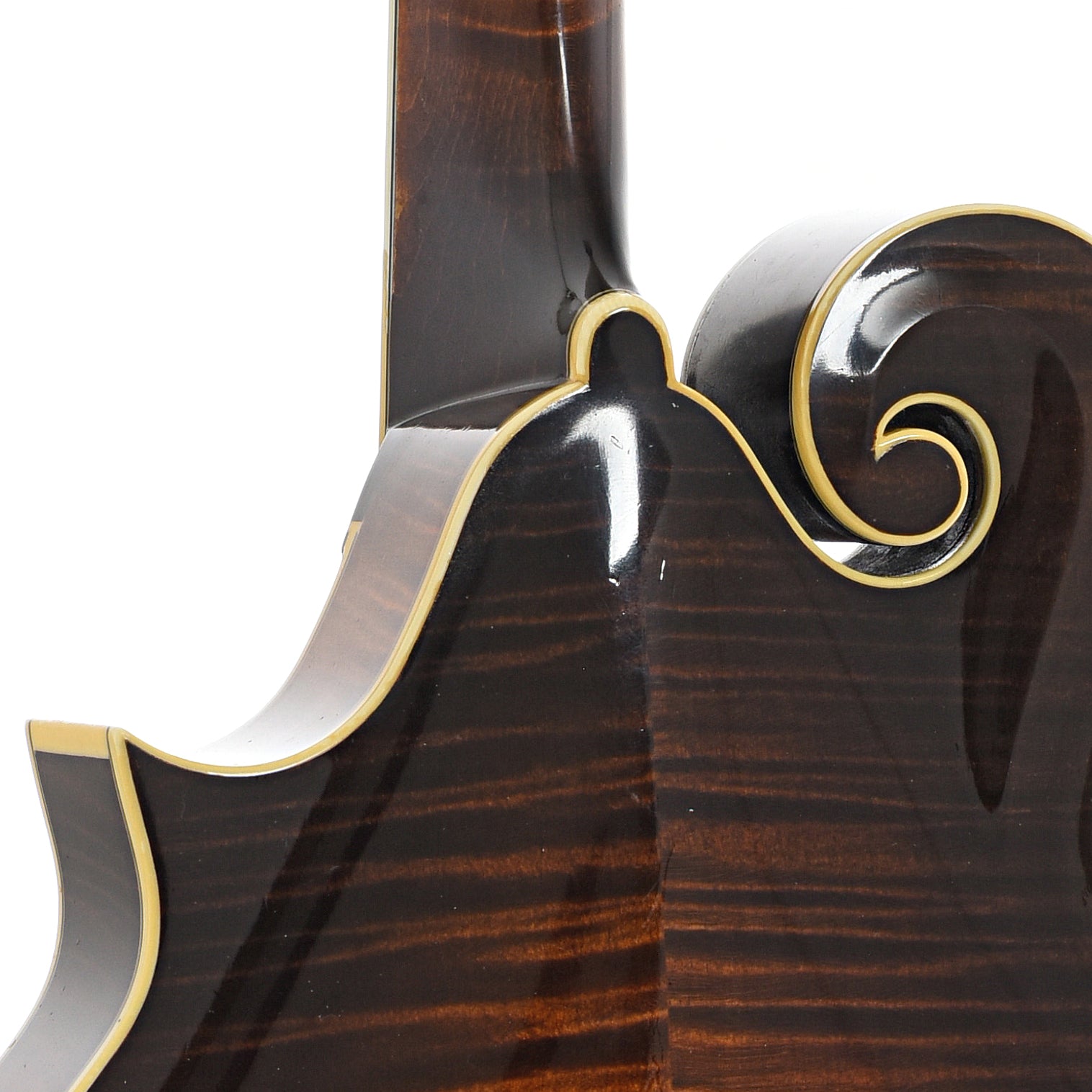 Neck joint of Collings MF5-V F-Style Mandolin (2006)