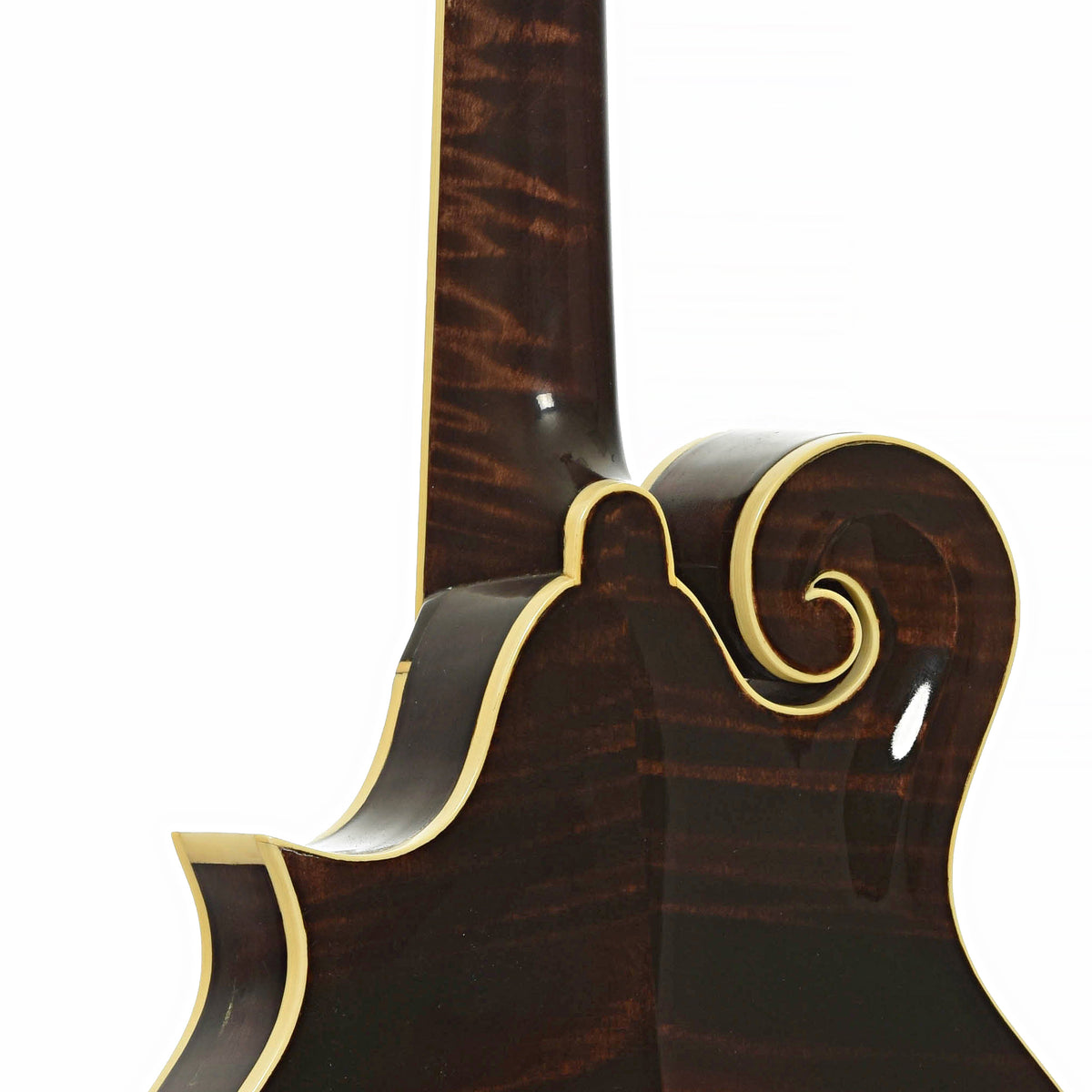 Neck joint of Hook F-Style Mandolin  