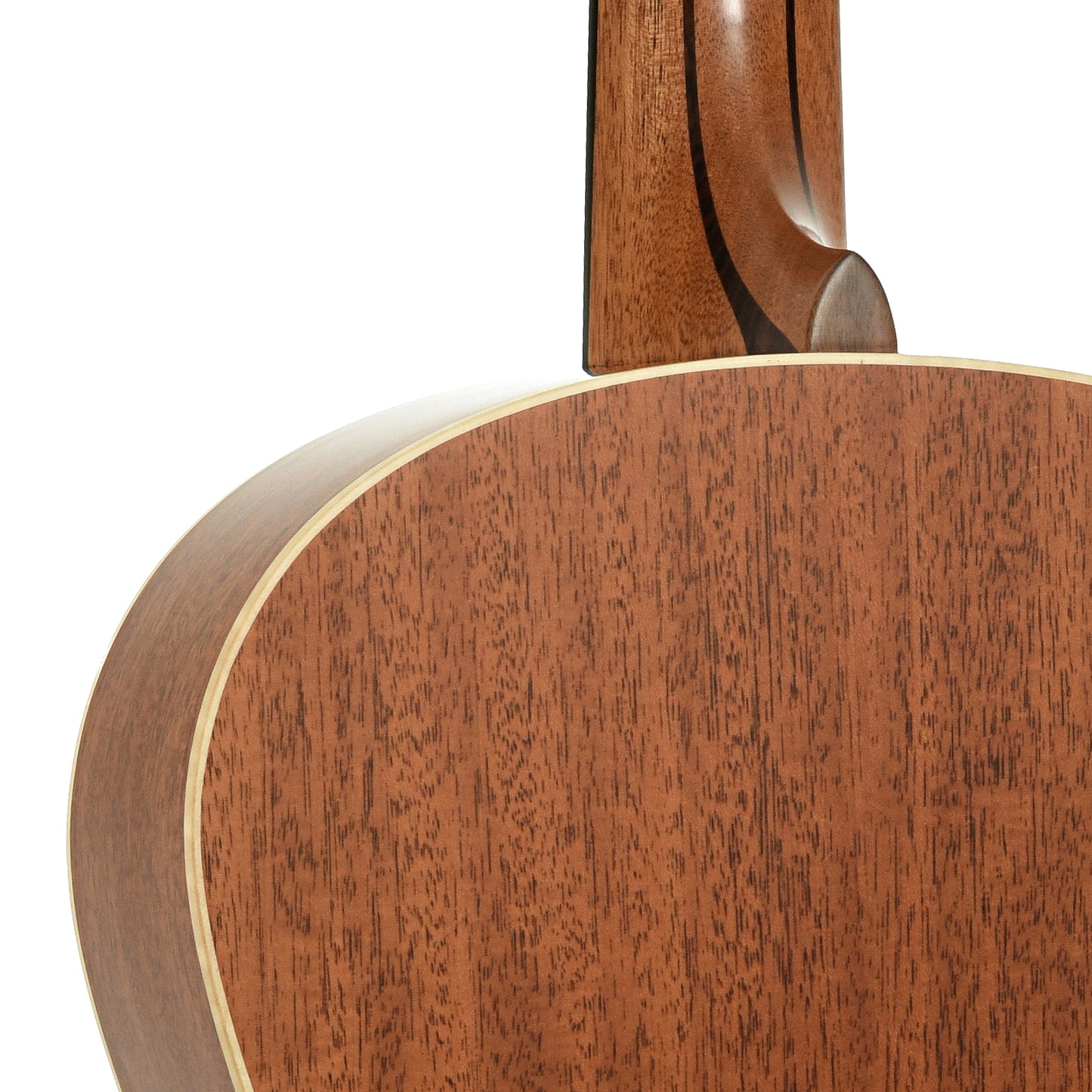 Neck joint of Lowden F-22 Small Jumbo Acoustic Guitar