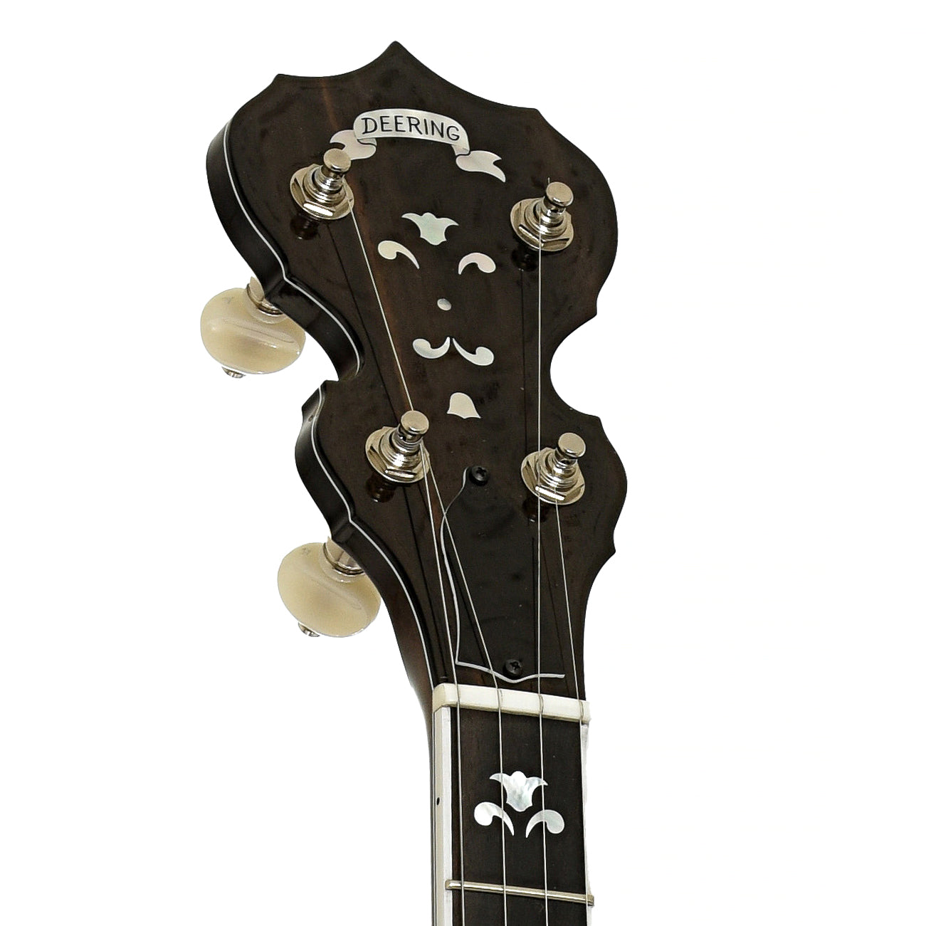 Headstock of Deering Maple Blossom Resonator Banjo