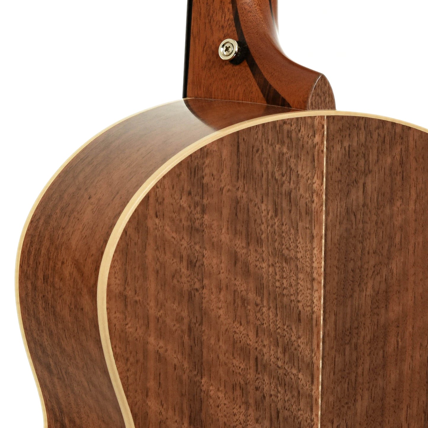 Neck joint of Lowden S35 12-Fret Acoustic Guitar