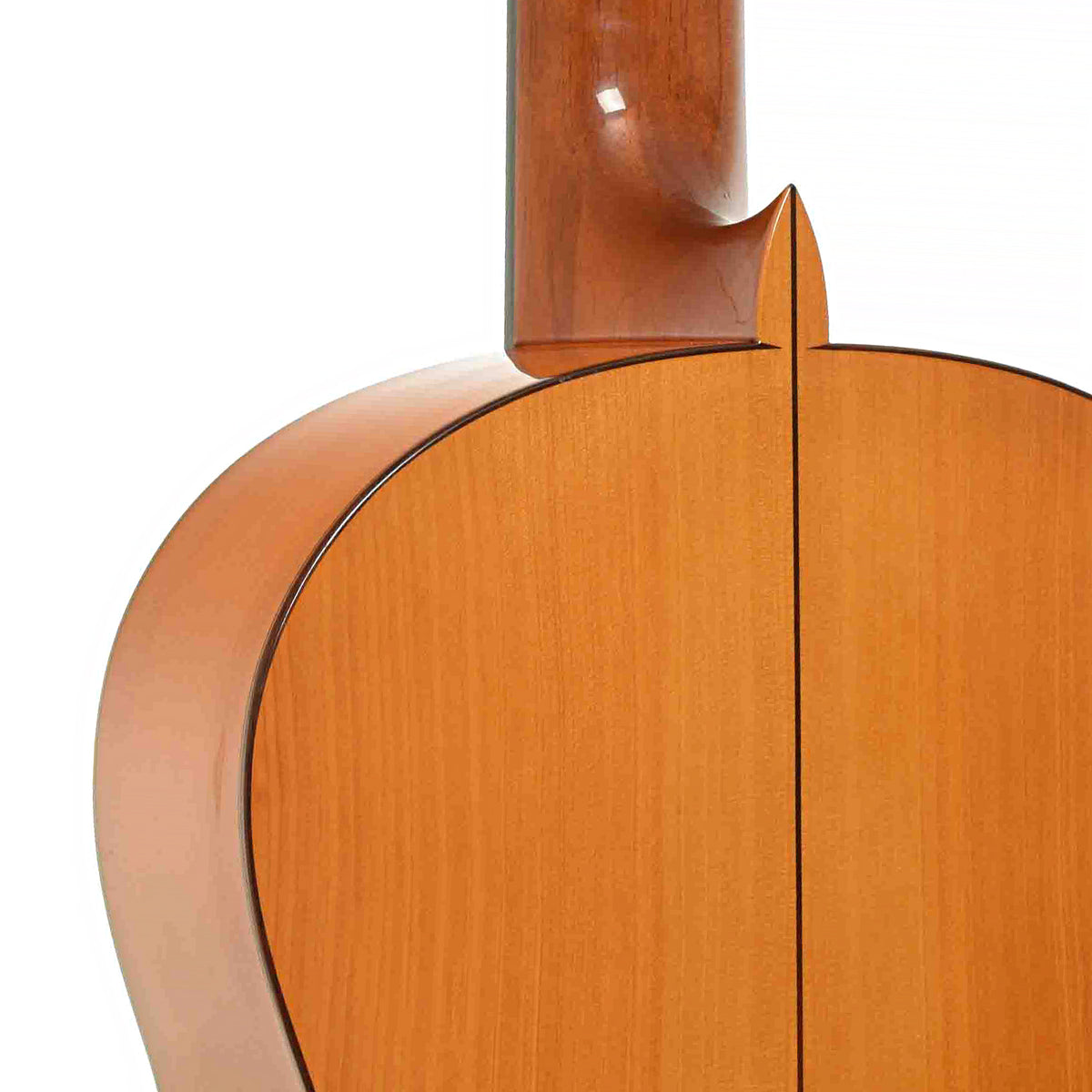 Heel of Ramirez 1a Flamenco