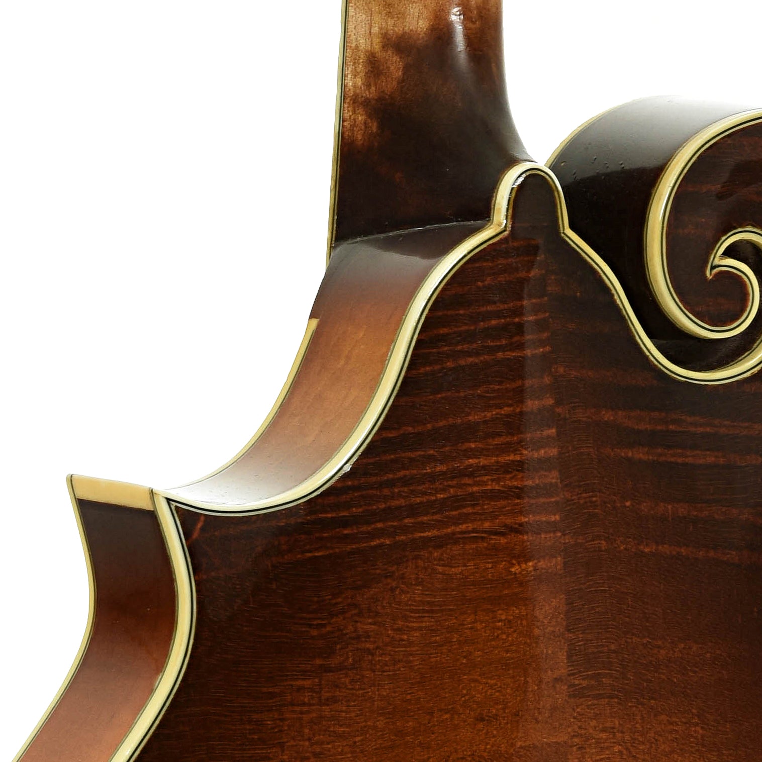 Neck joint of Gibson F-5G Mandolin