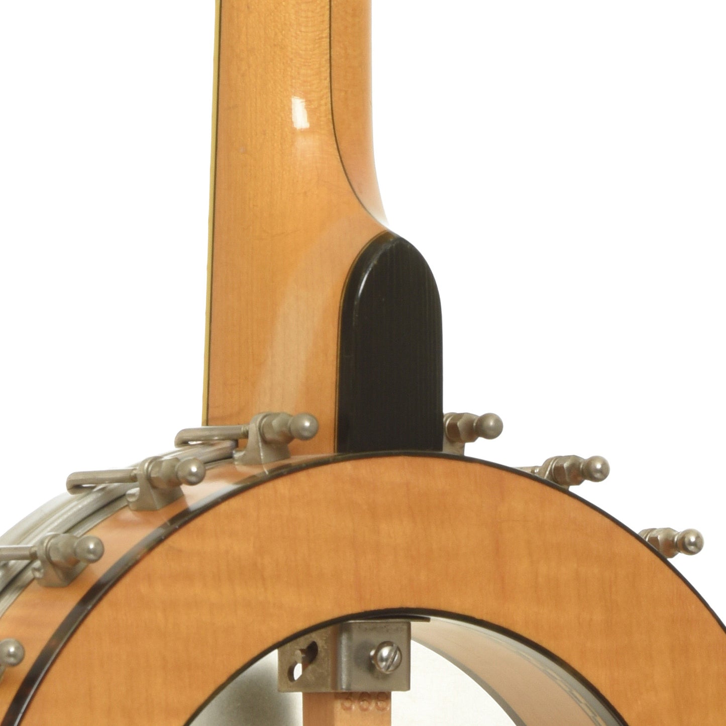 Bart Reiter Professional Openback Banjo (1989)