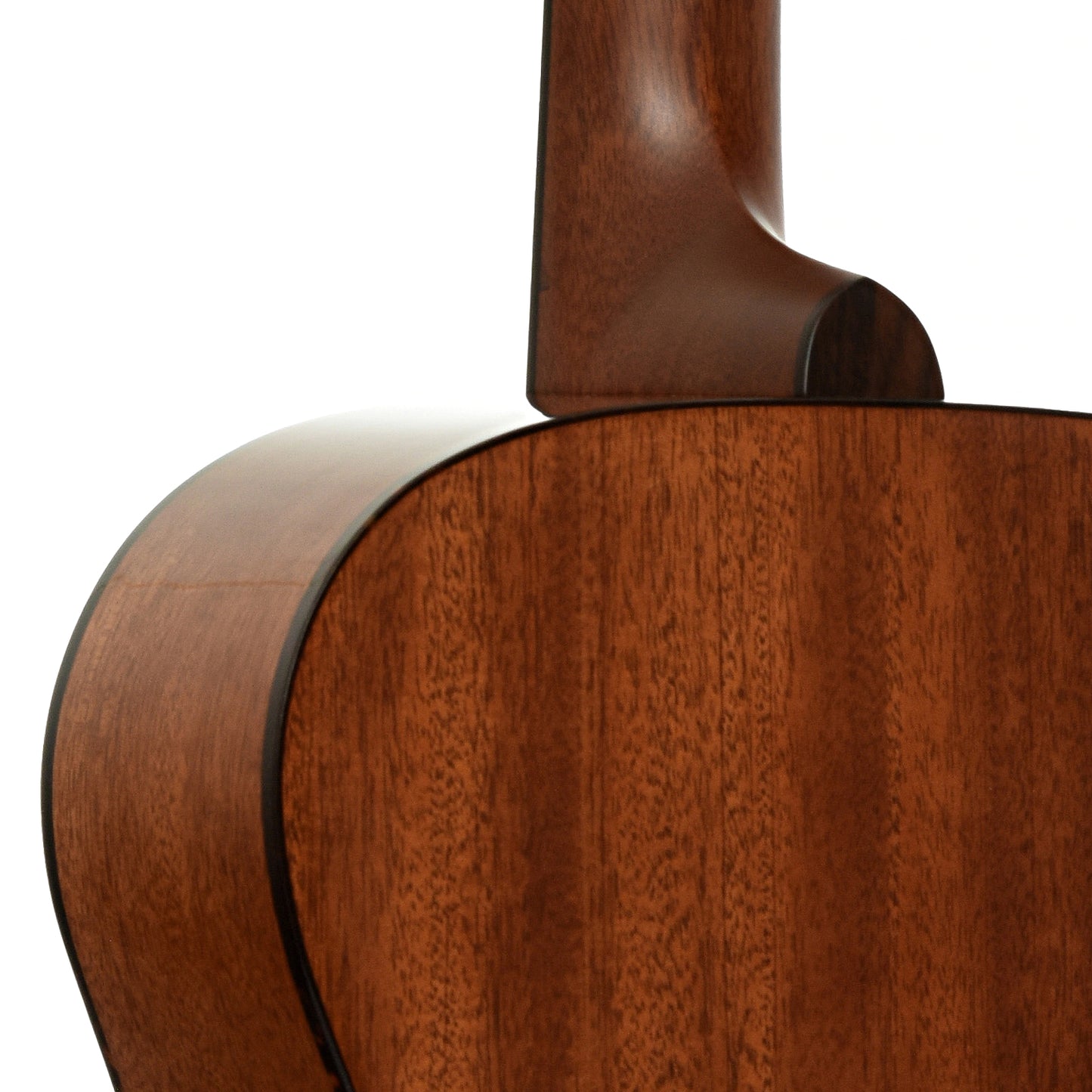 Neck joint of Gallagher Bluegrass Bell GA Acoustic Guitar