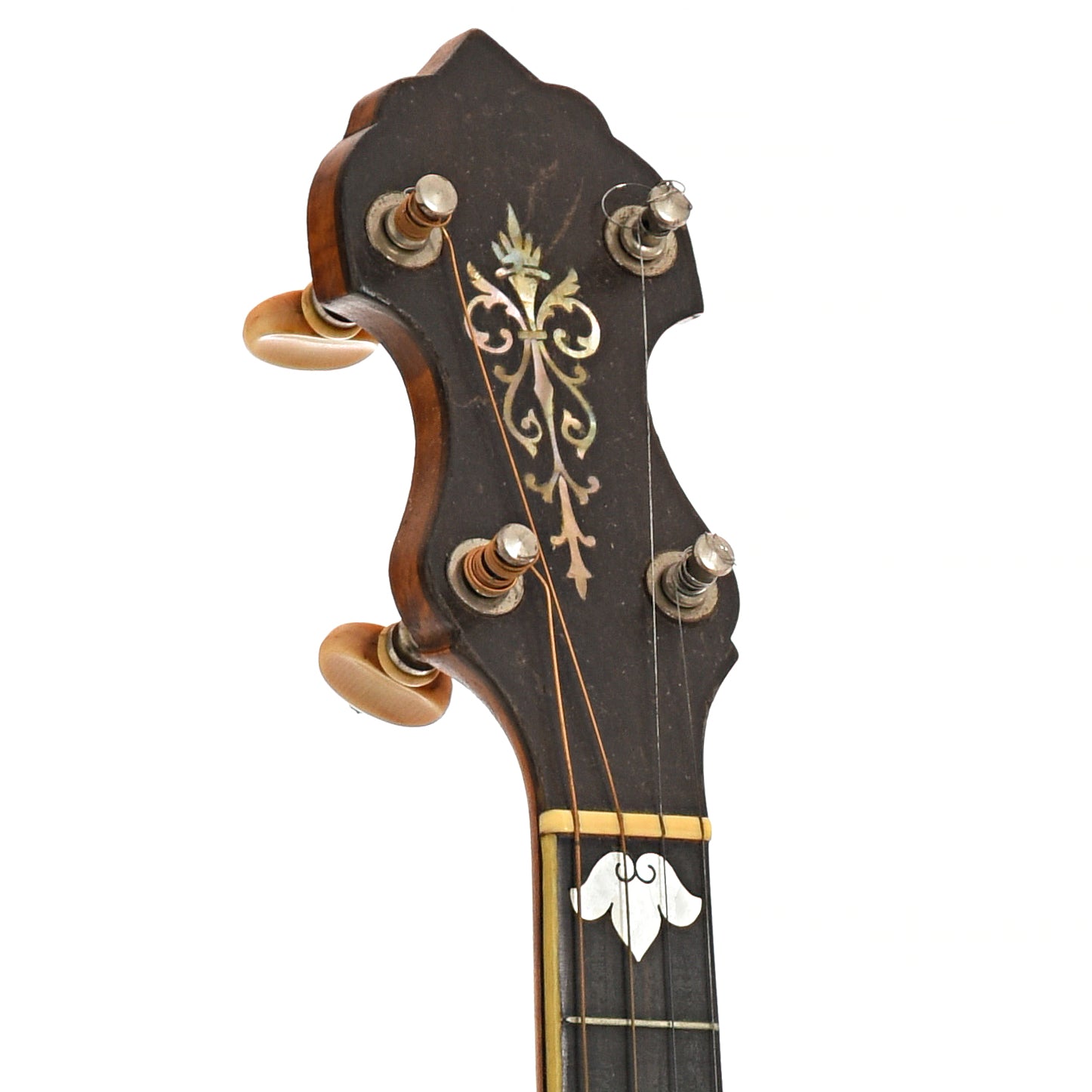 Front headstock of Vega Style M Tubaphone Tenor banjo