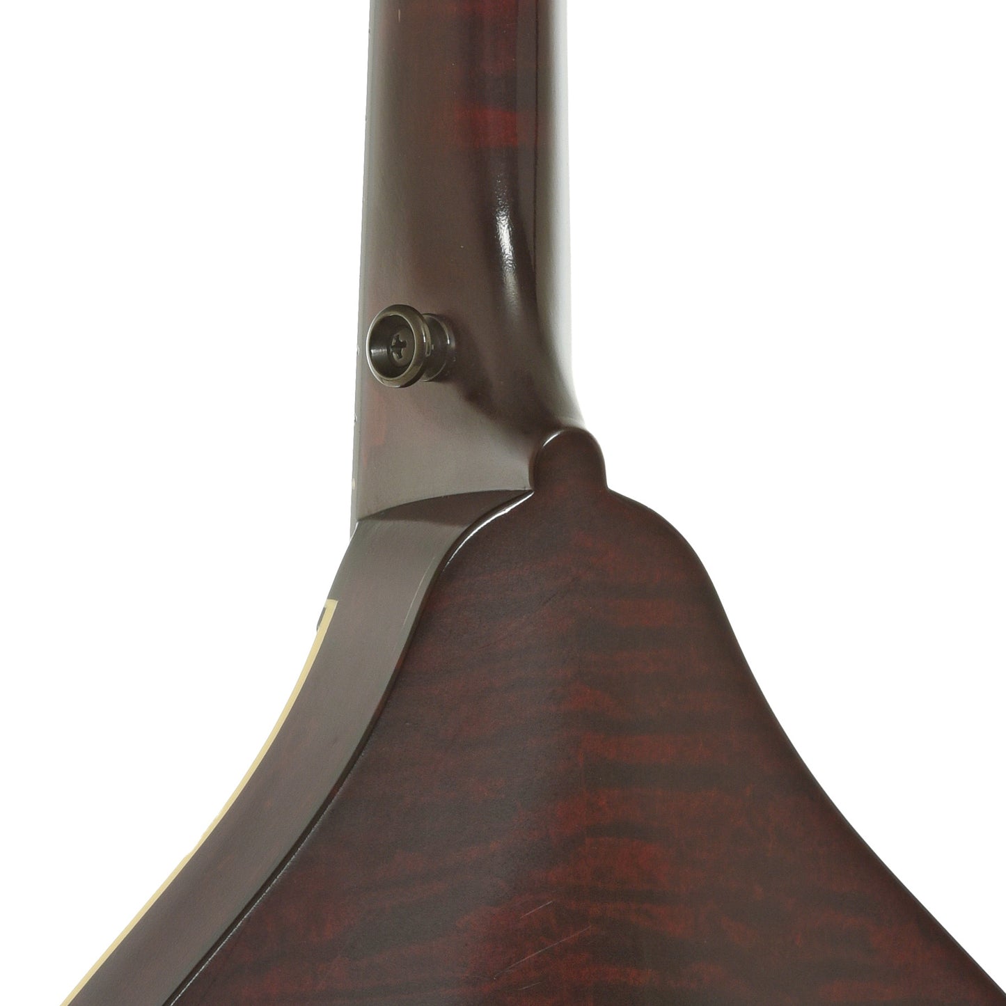 Neck joint of Collings MT-O