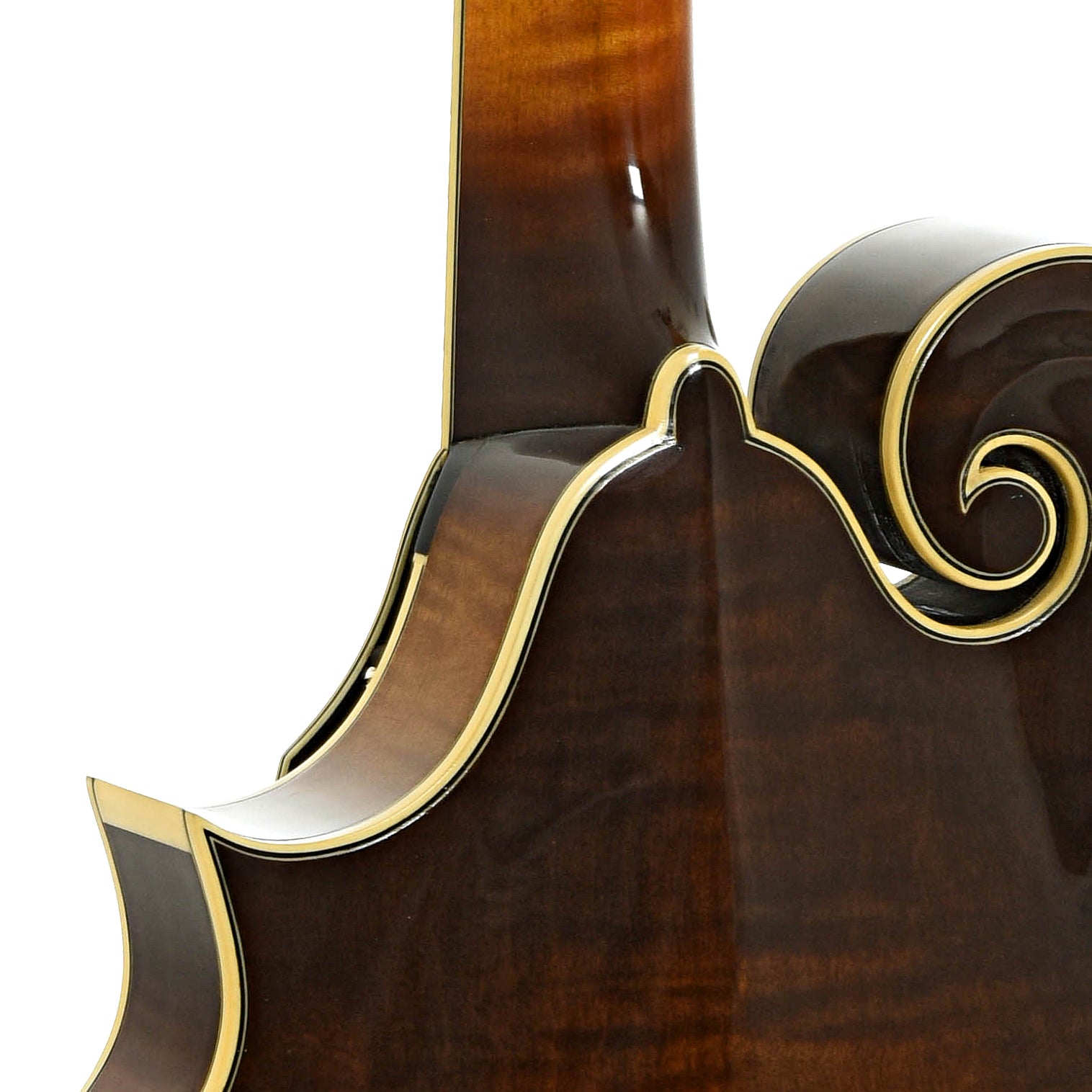 Neck joint of Northfield NF-F5MB Blacktop Master Model