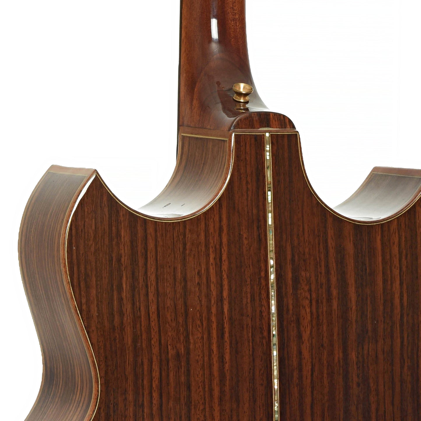 Neck joint of Doc Fossey Model 2 Banjitar
