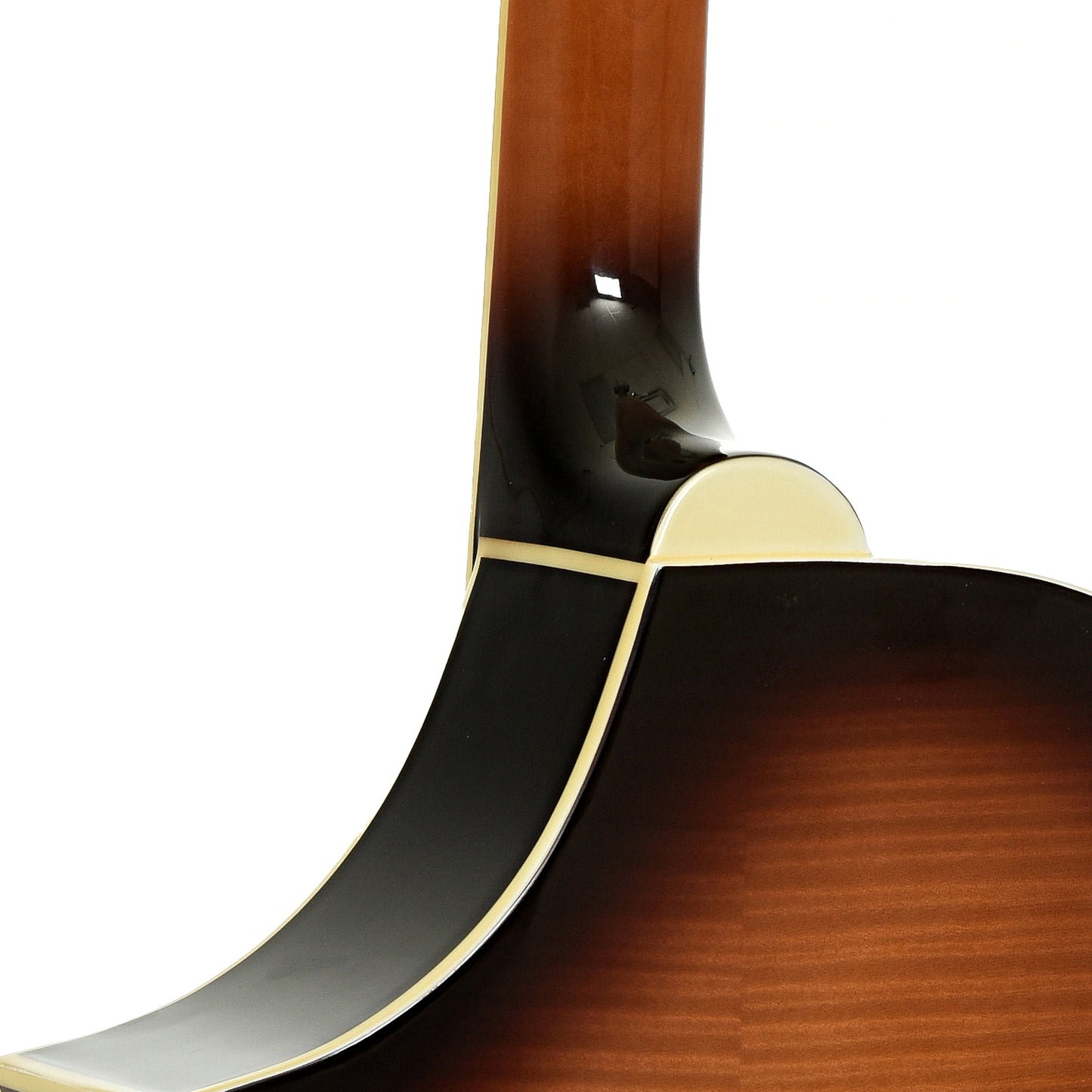 Neck joint of Gold Tone Dojo Deluxe