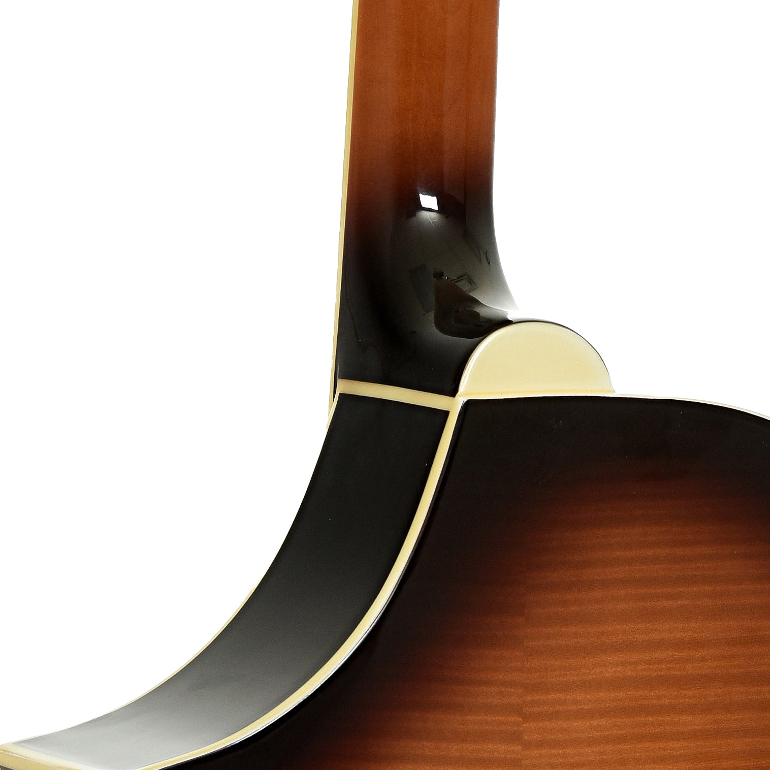 Neck joint of Gold Tone Dojo Deluxe
