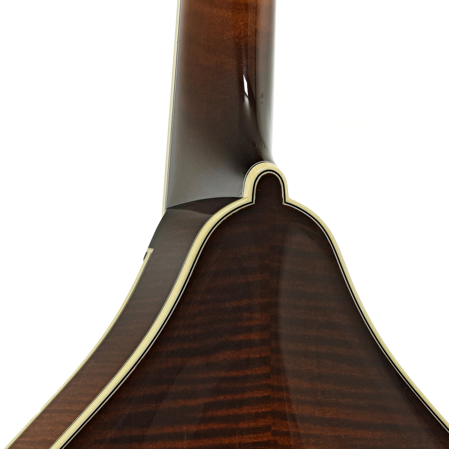 Neck joint of Collings MT2 A-Style Mandolin Sunburst Finish