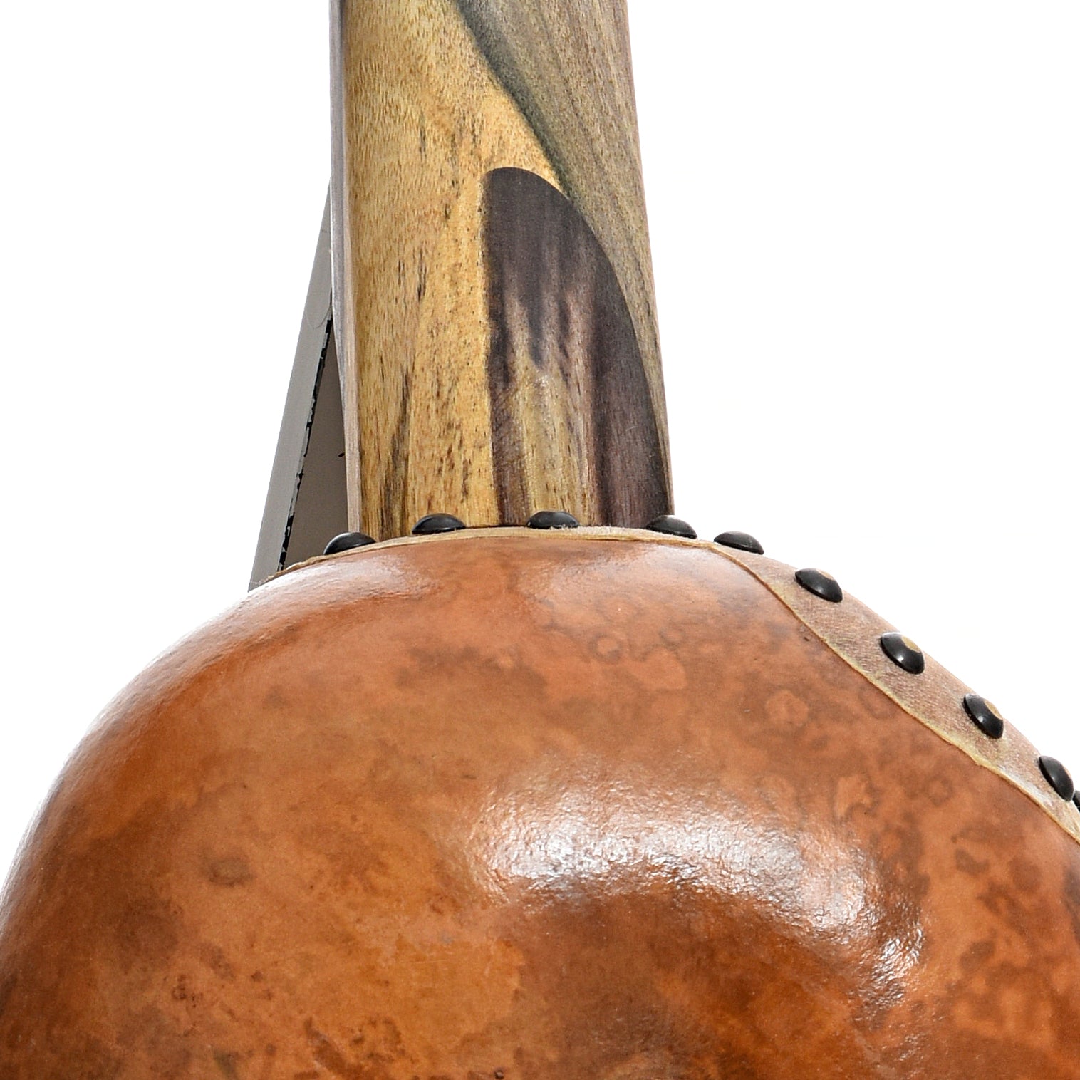 Neck joint of Menzies Fretless Gourd Banjo #577